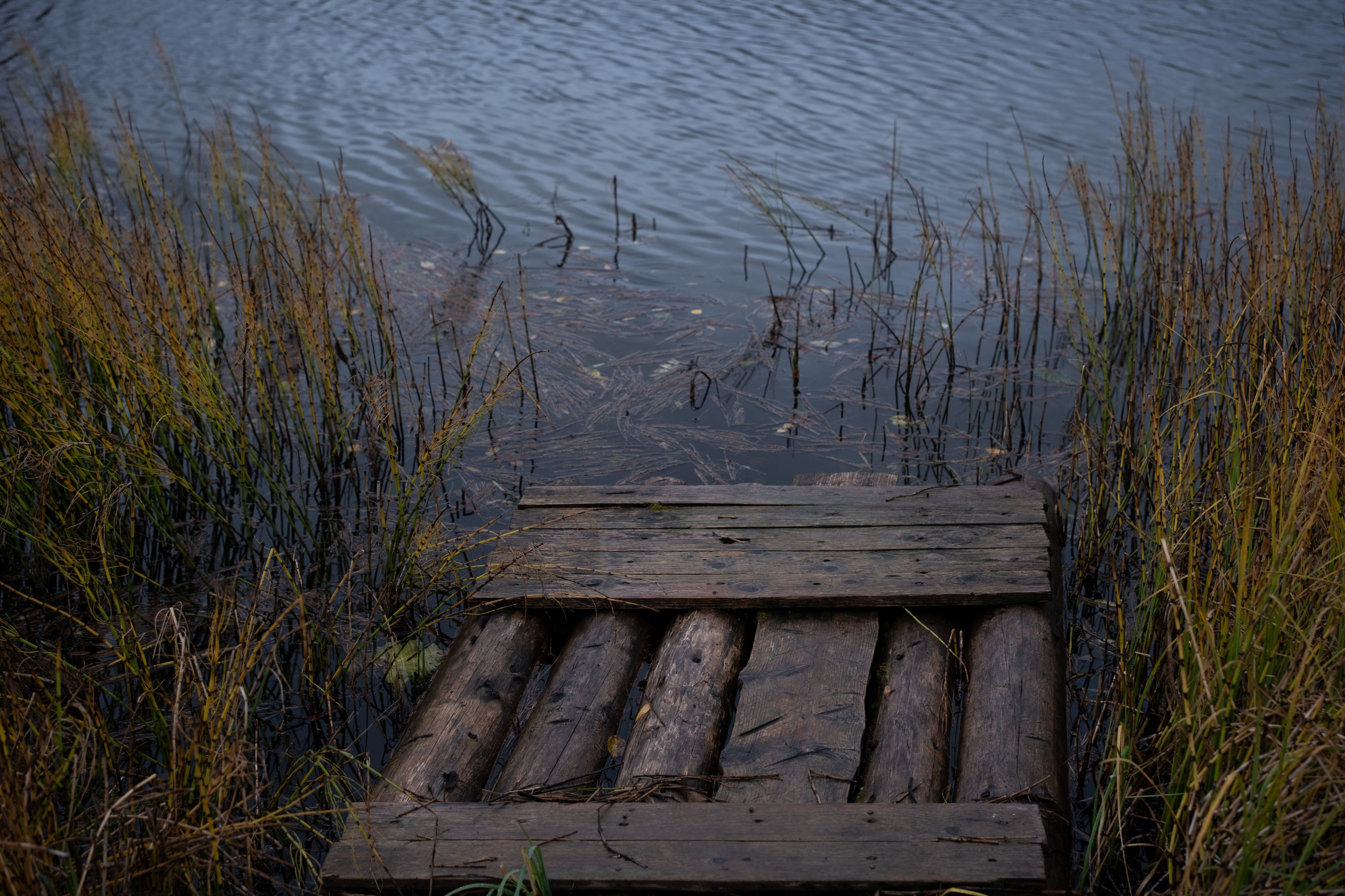 Дед. Кристина — портретный фотограф