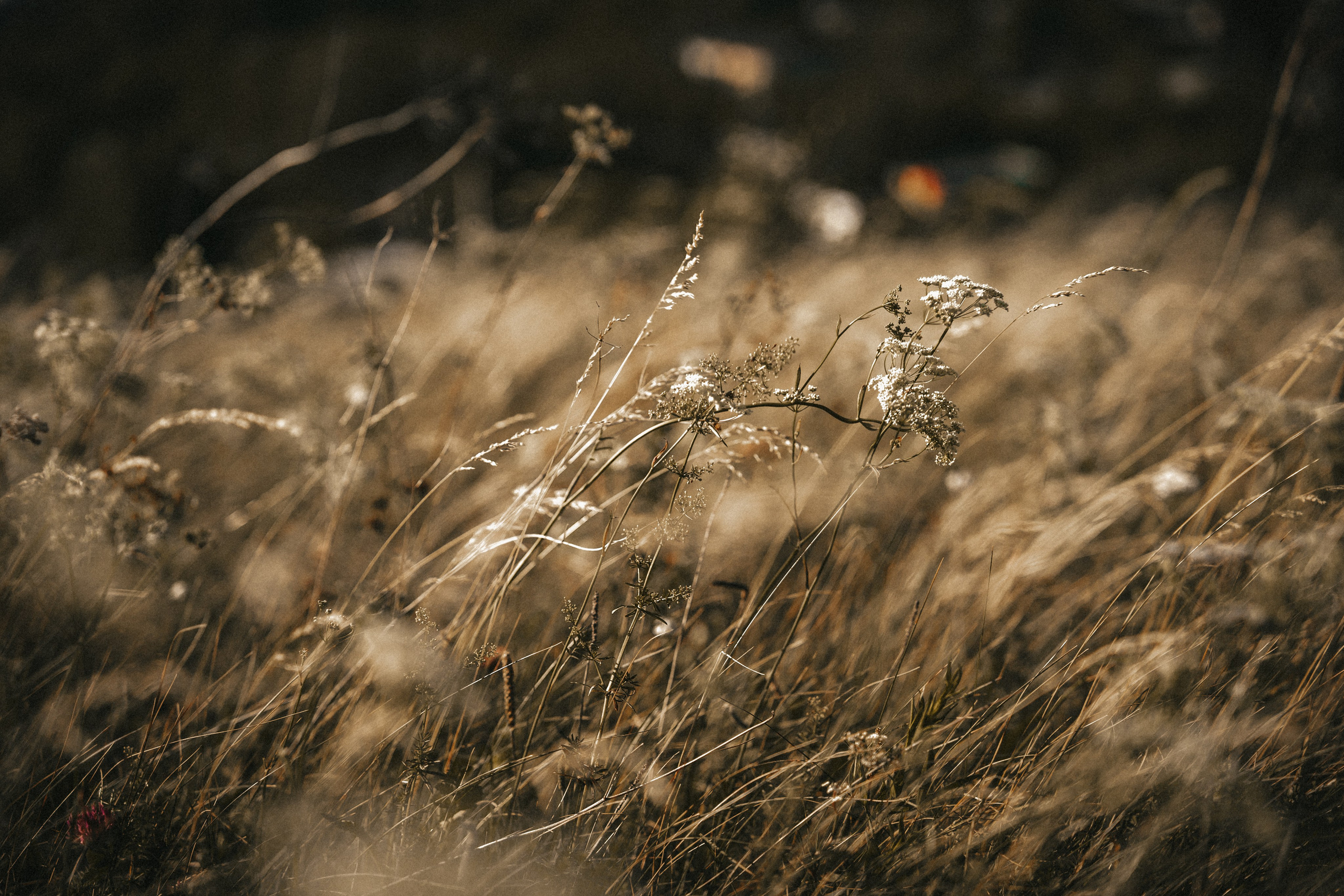 |ph|otographer by DK | Lifestyle | Нижний Тагил