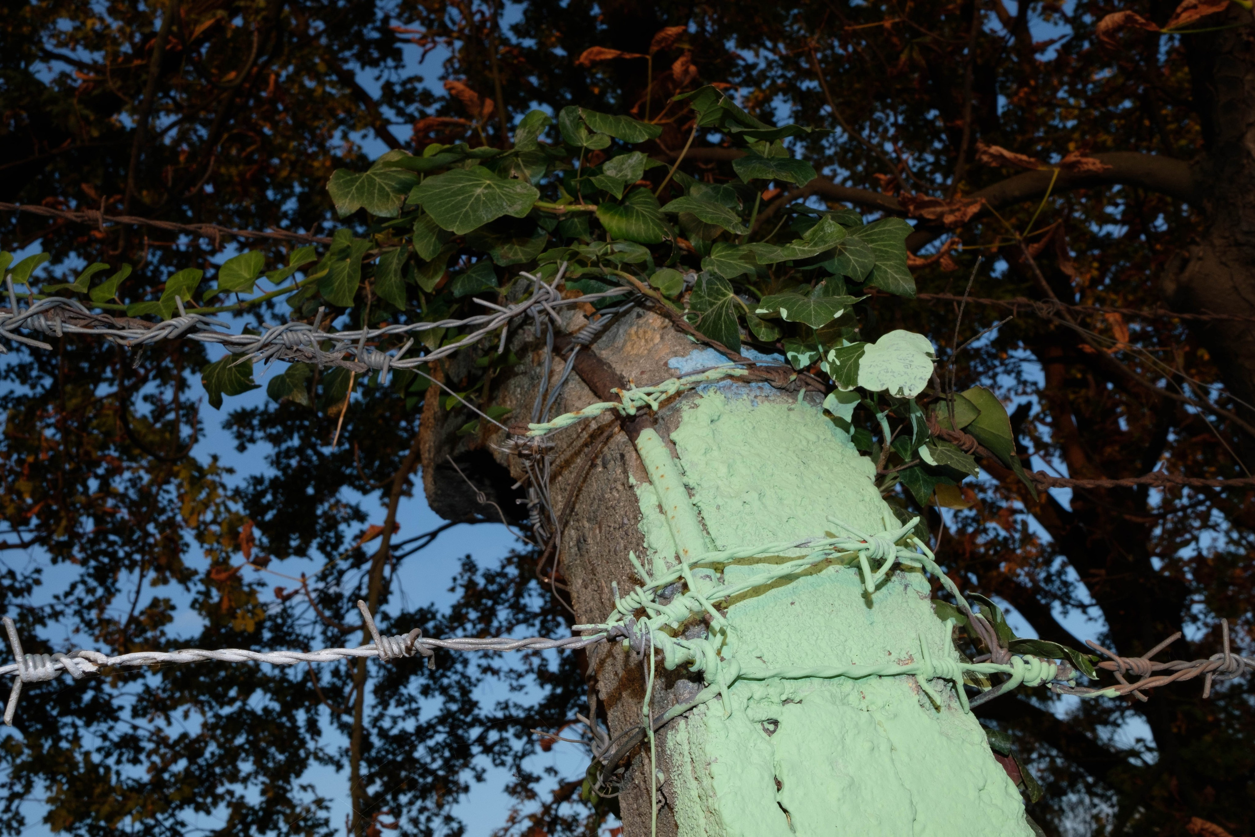 Simple. Photos. Photographer, Documentary and Art