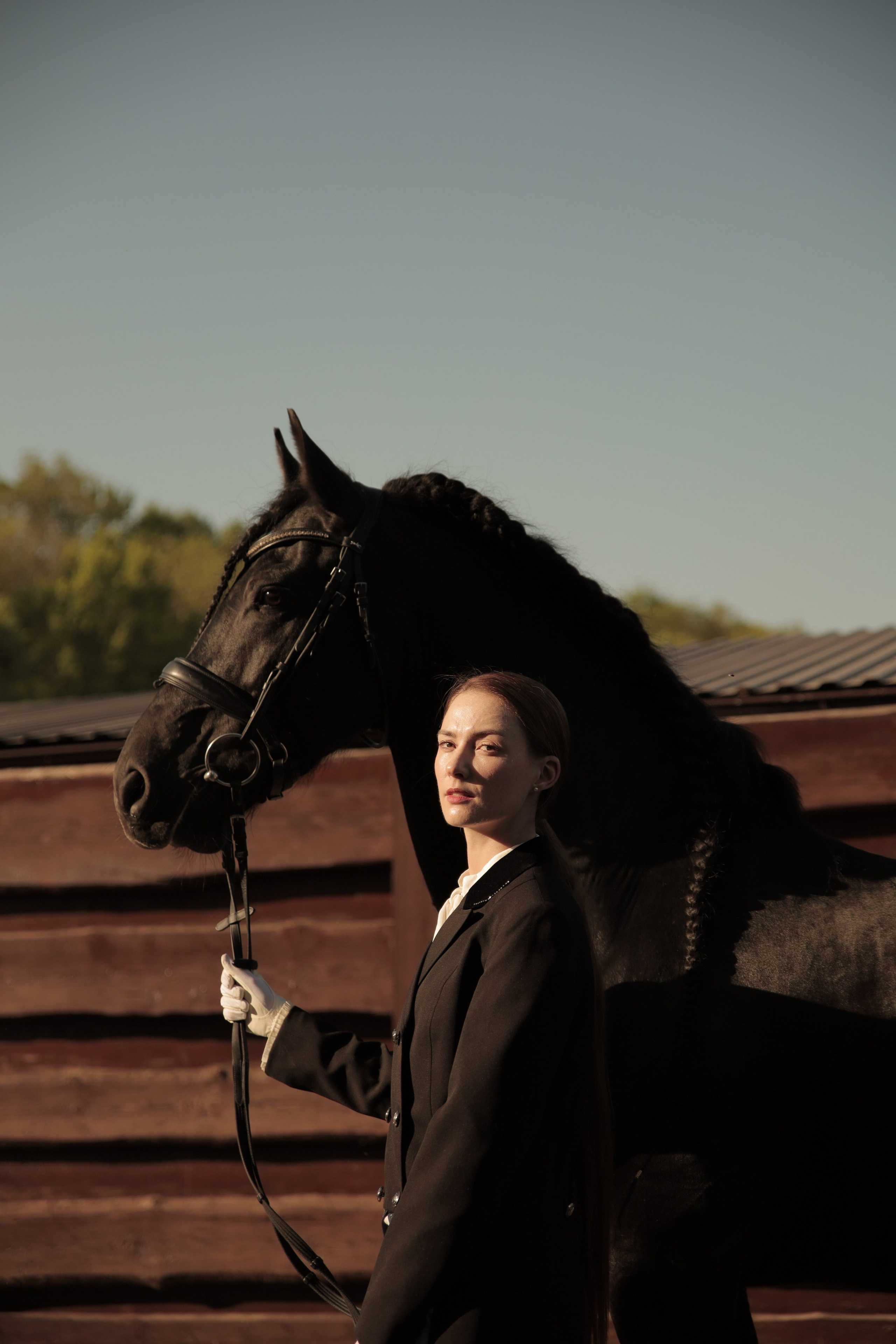 Съемка с лошадью фризской породы. Семейный и конный фотограф в Краснодарском крае и Адыгее