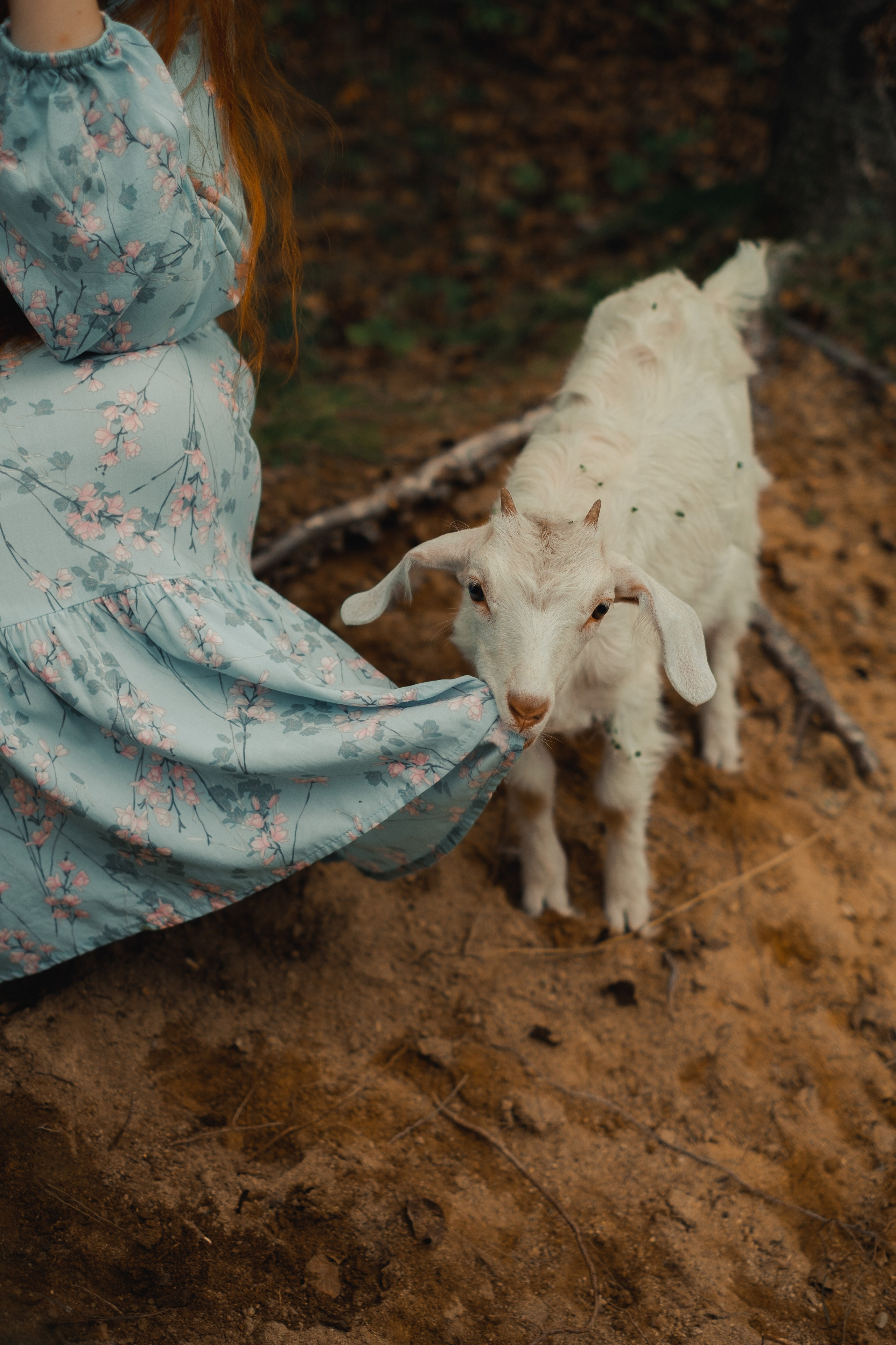 Мария и козы. Фотограф Благовещенска Яна