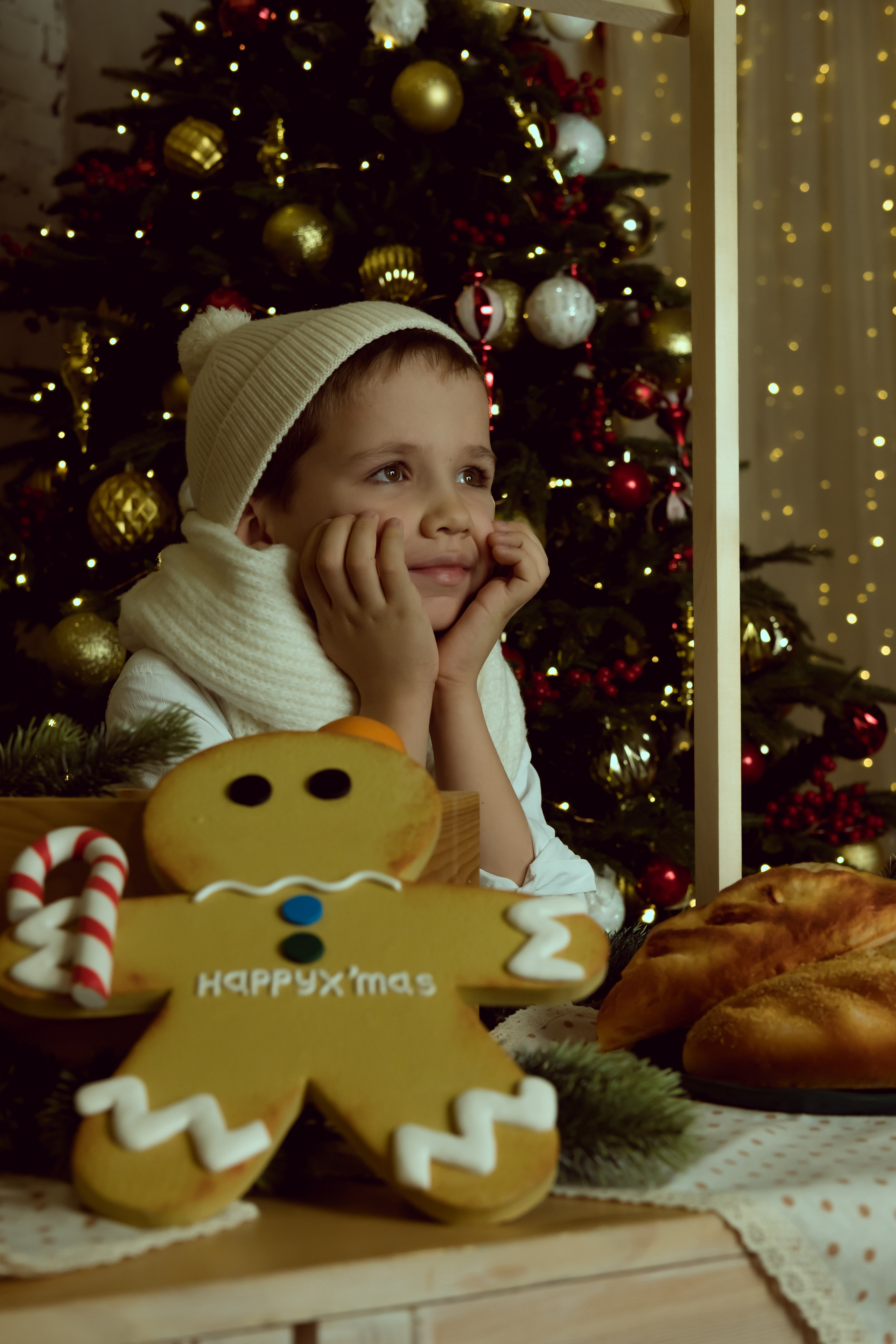 Новогоднее настроение. Фотограф-психолог в Хабаровске Ольга Студеникина