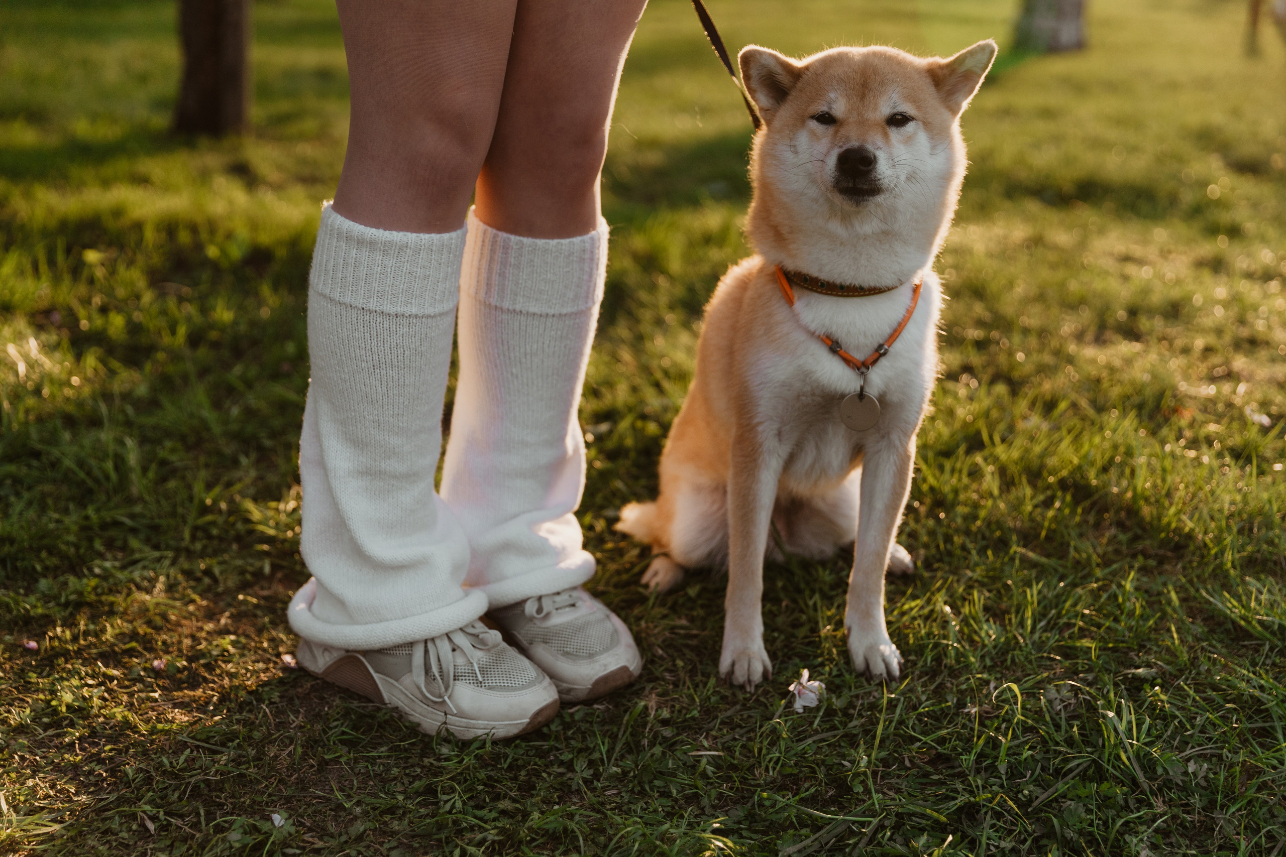 Анастасия и Тайра. Фотограф Южно-Сахалинск Сахалин Анастасия Тучина