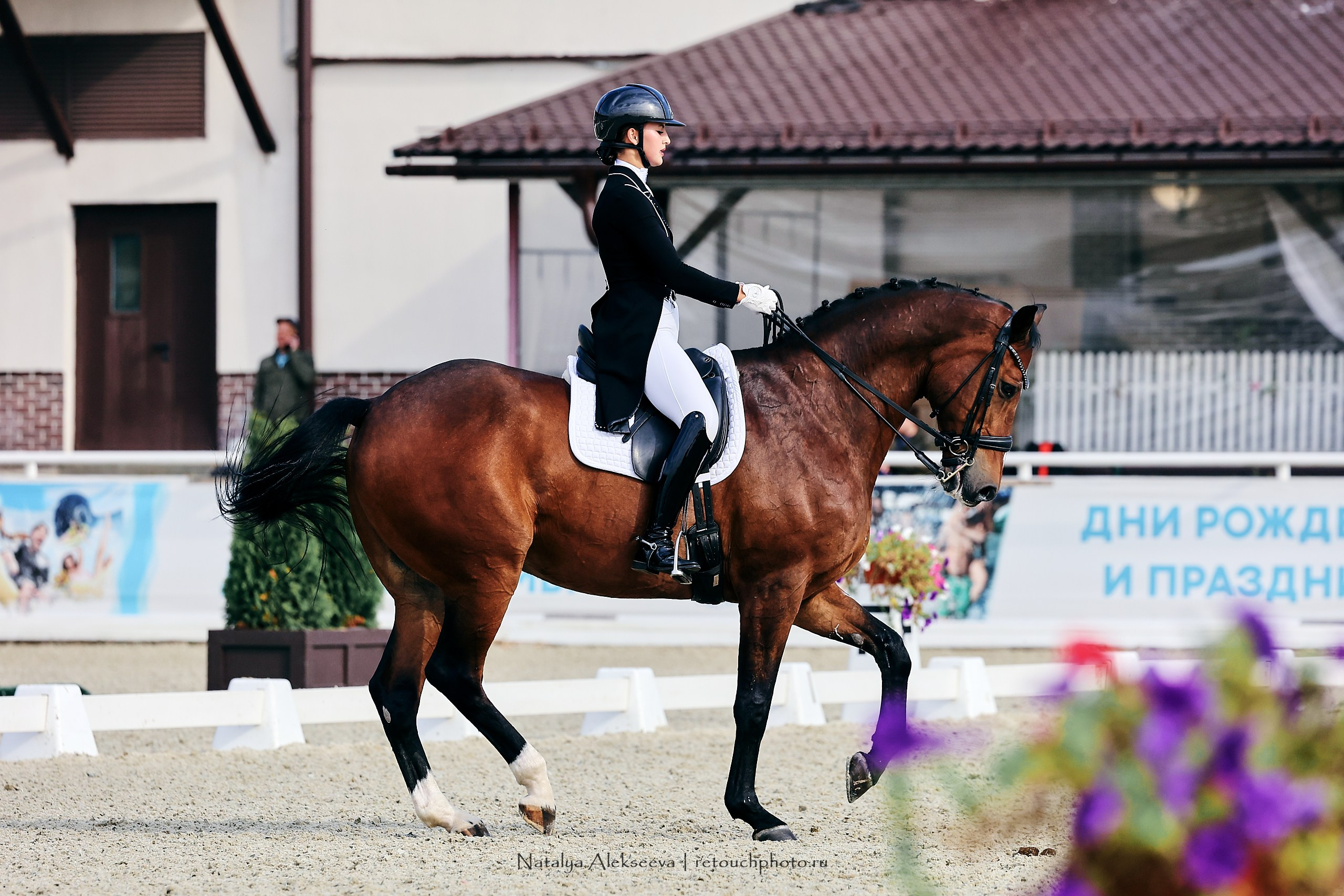 Чемпионат и Первенство России по выездке, Maxima Stables | 09'2023. Репортажный фотограф и ретушер в Москве Наталья Алексеева