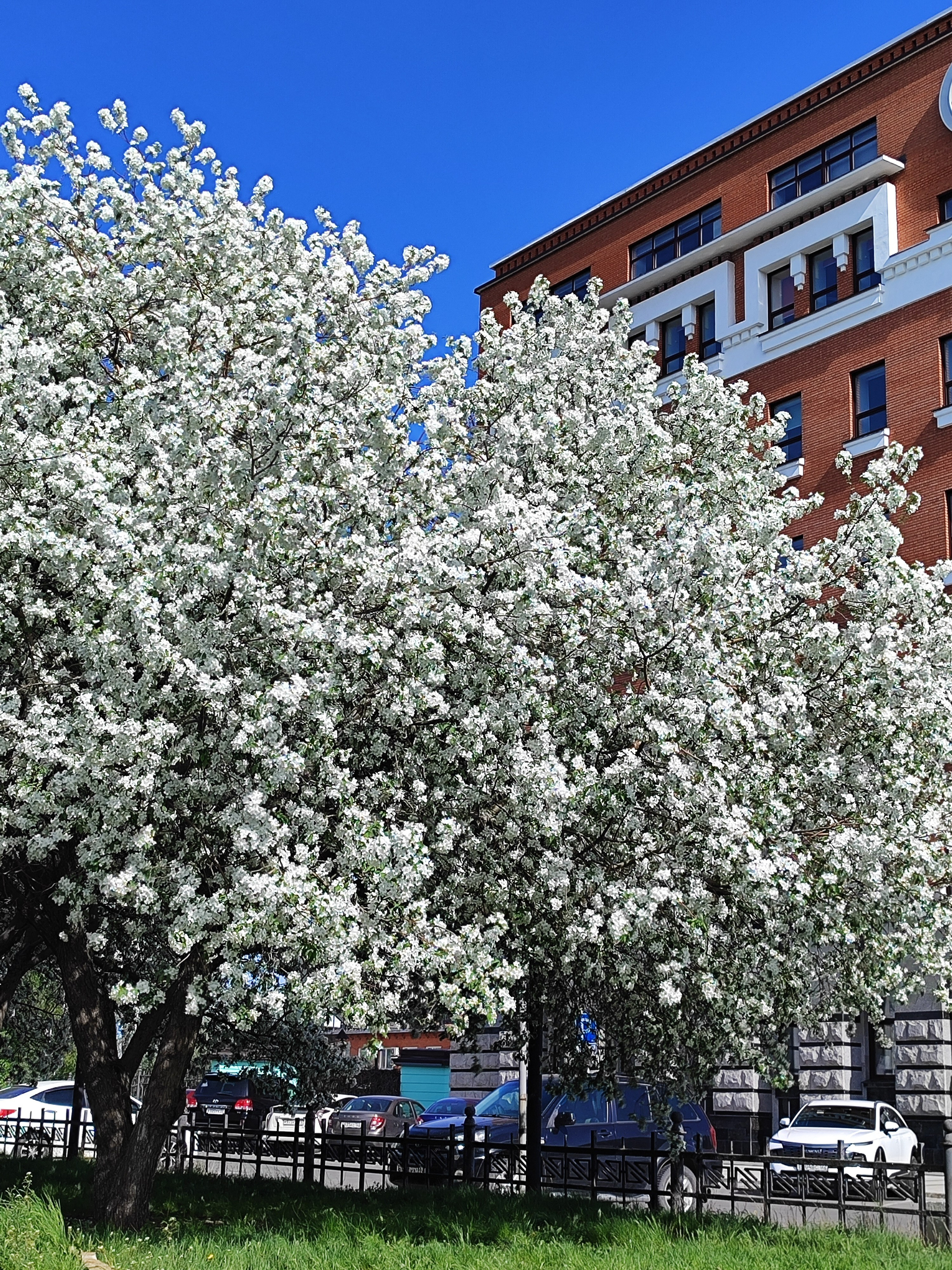 Архитектура