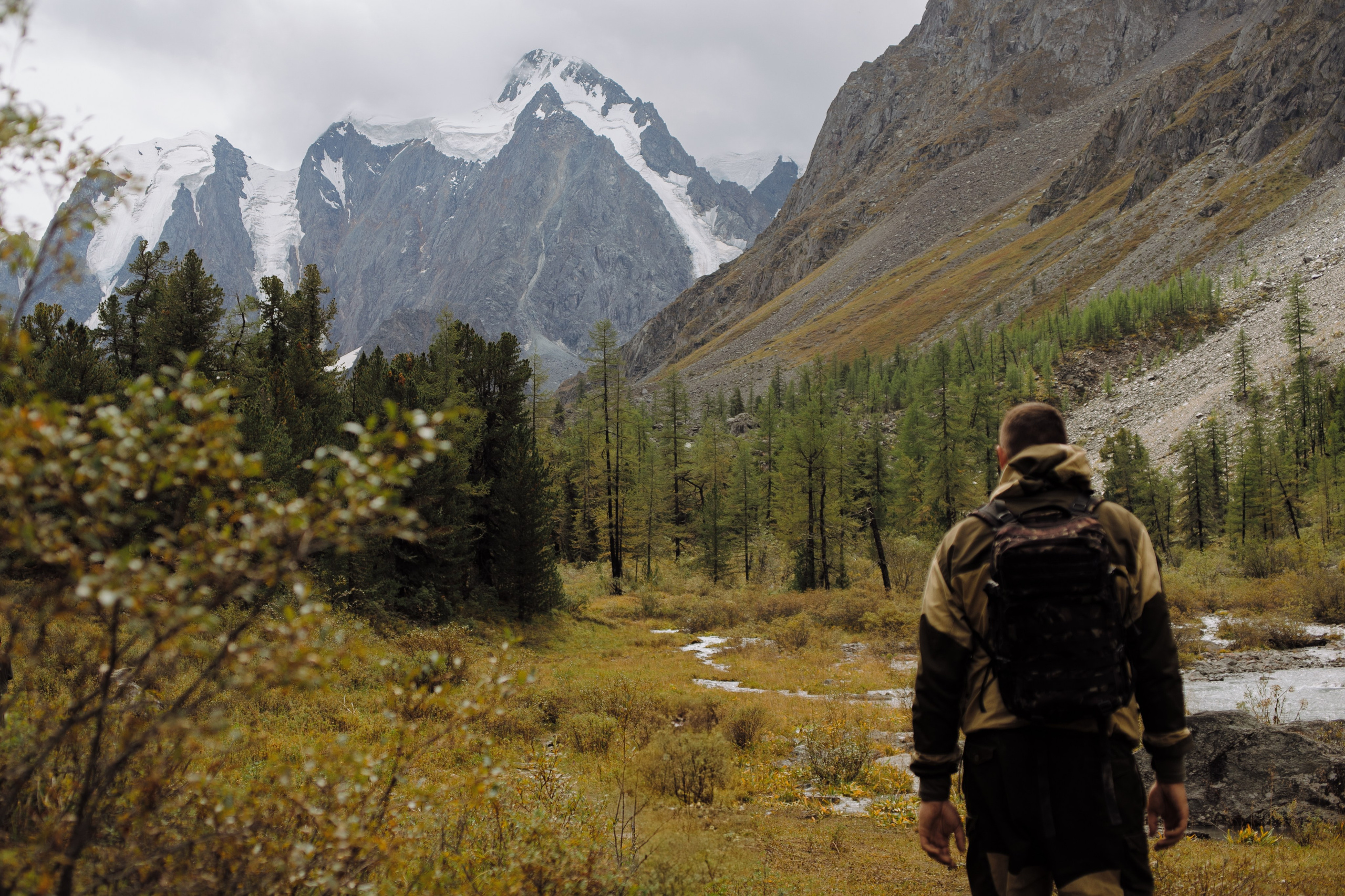 Шавлинские. Главная