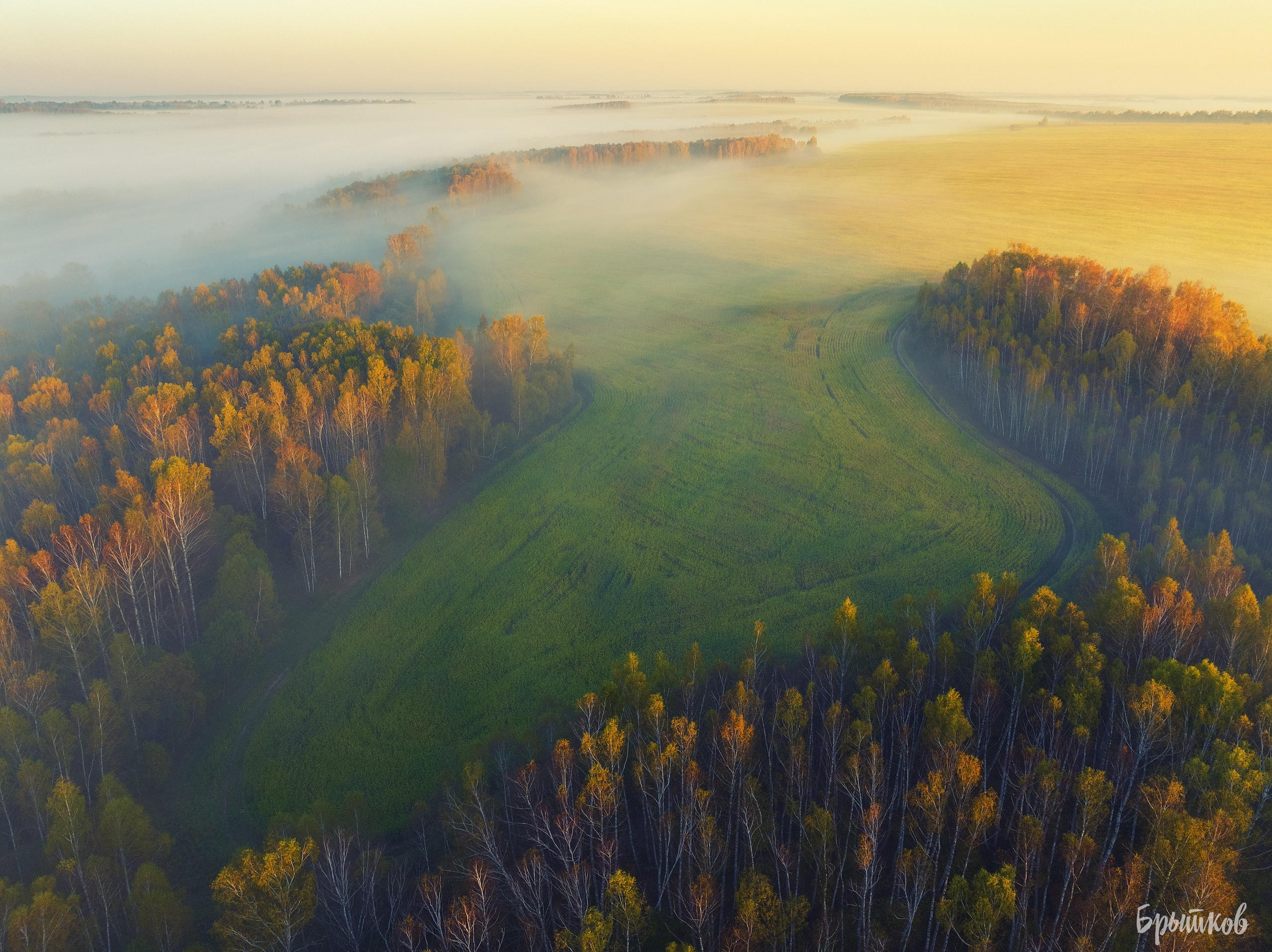 Бежин луг туман Брытков Николай