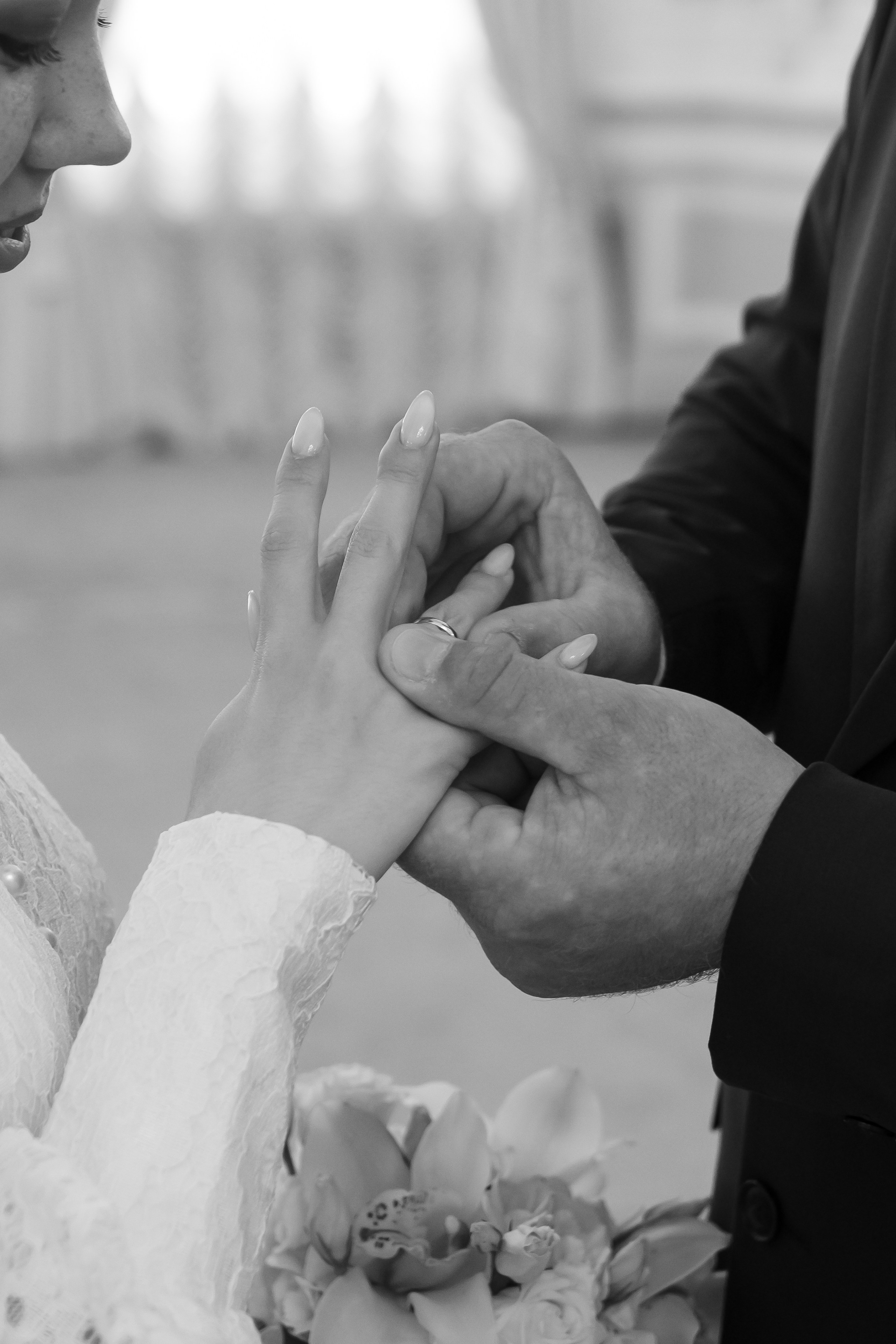 Новая Голландия