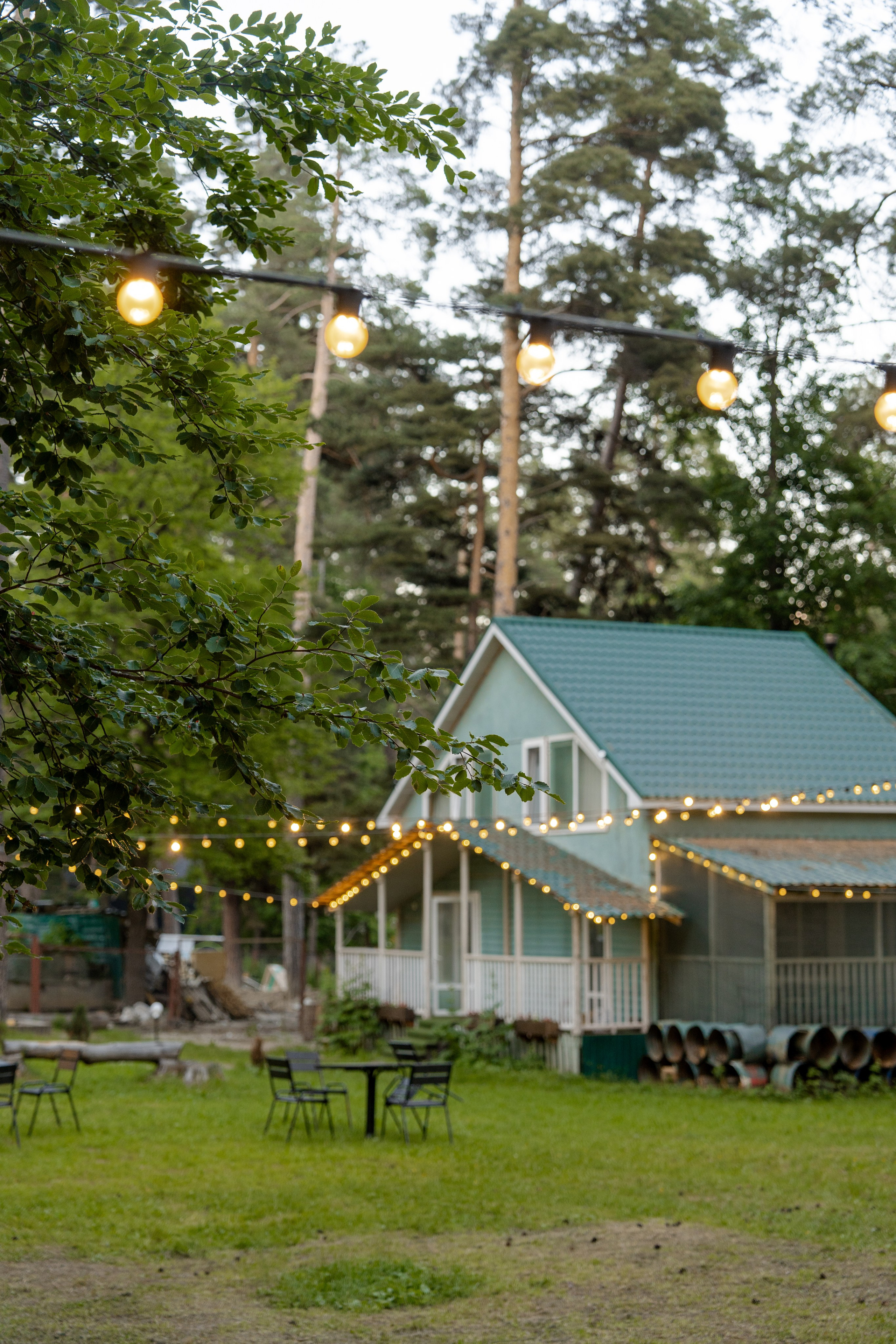 Green Park. Фотограф и видеограф Елена Хмелевская