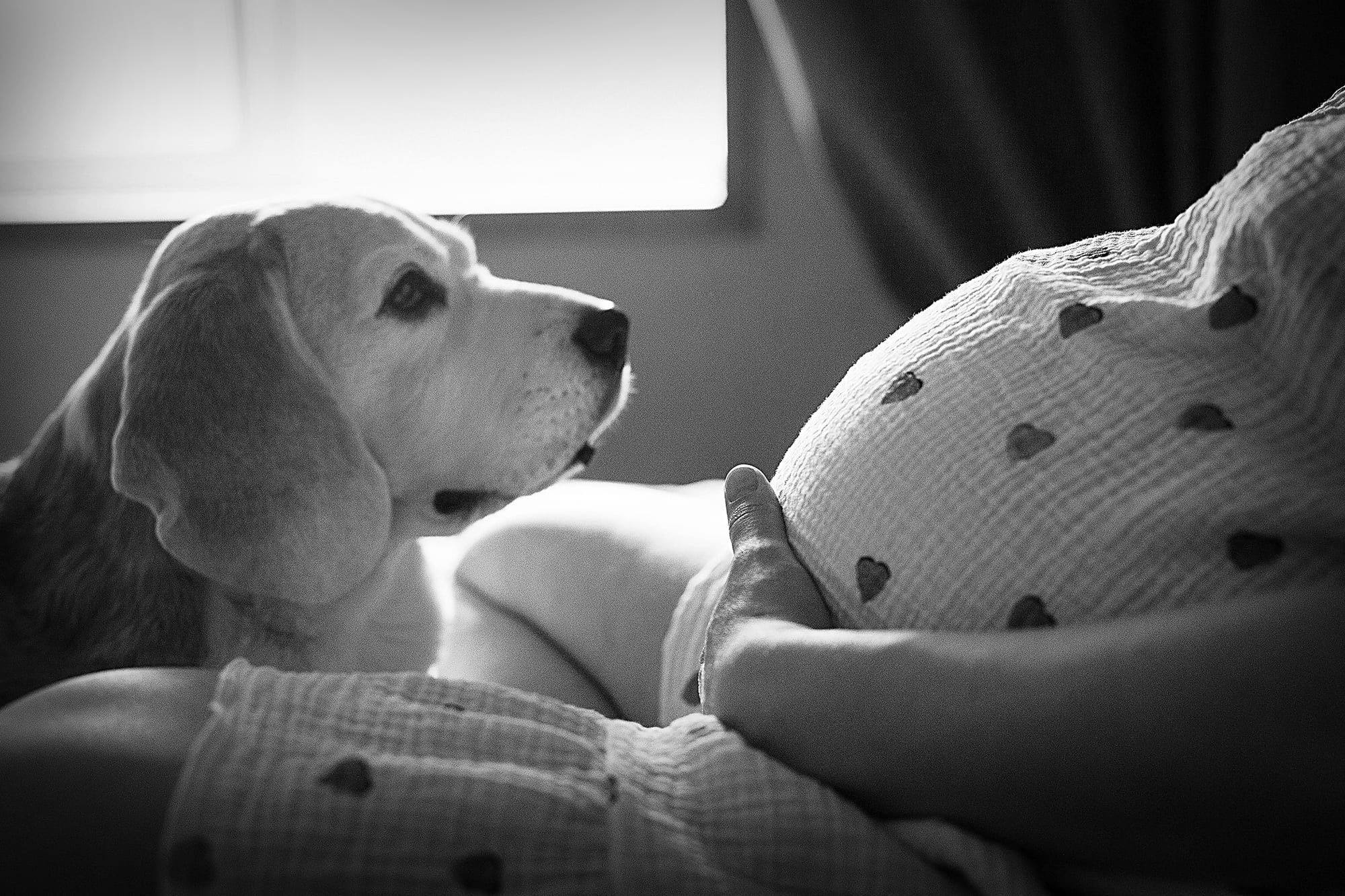 professional-photo-of-a-person-in-a-home-environment