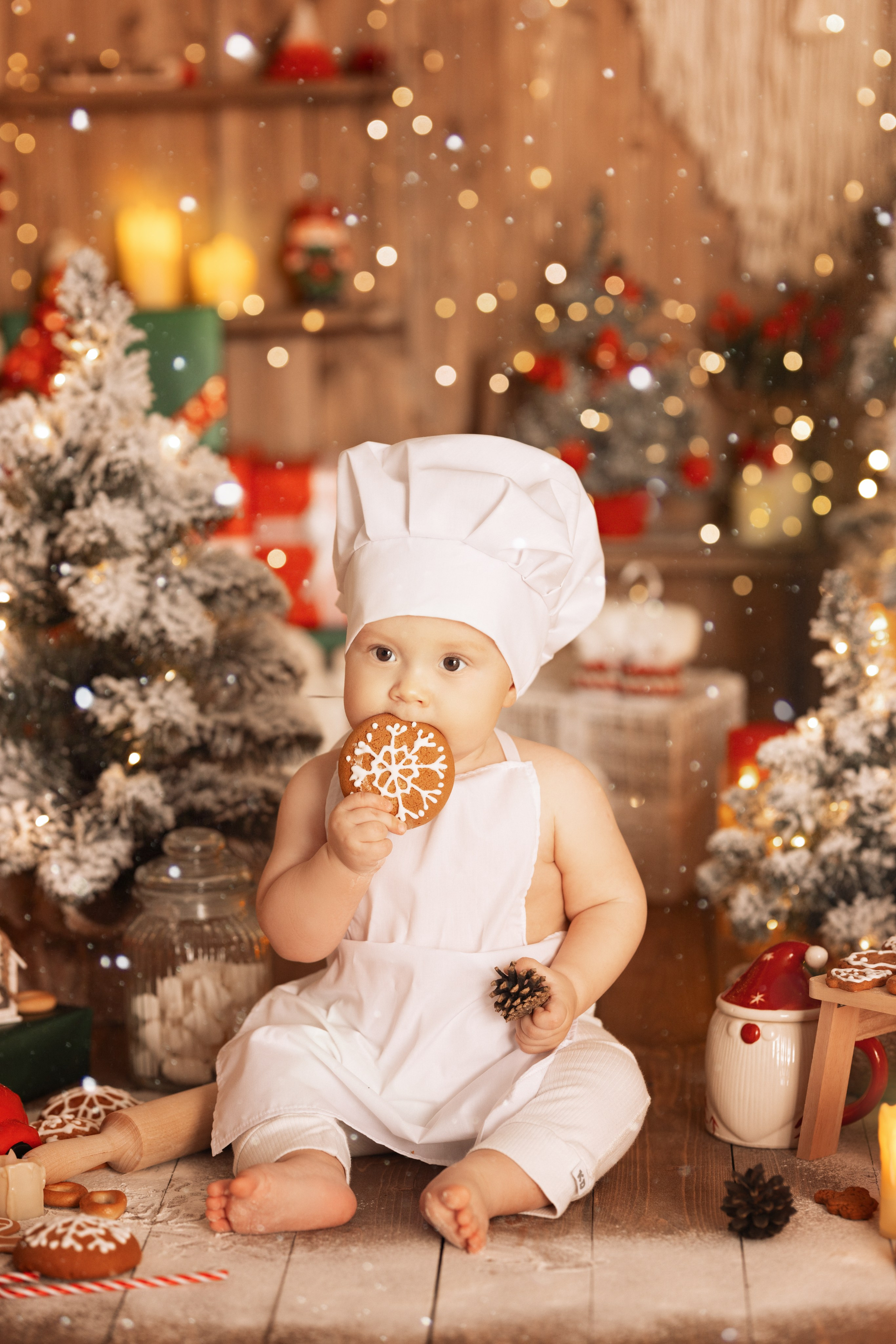 Новый год. Семейный и детский фотограф г. Абакан Яна Франц