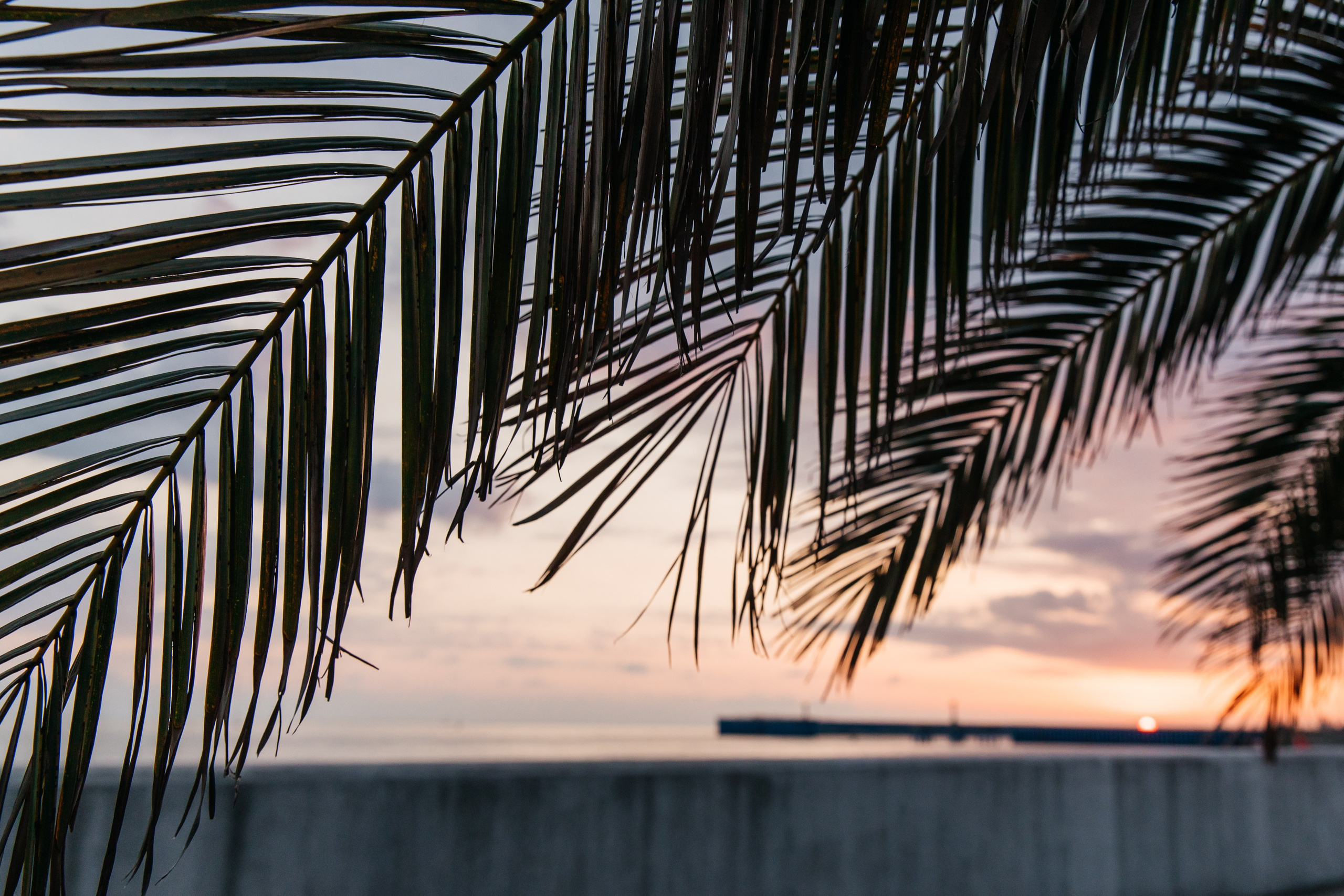 Пляжи Сочи. Фотограф в Сочи. Свадебная видеосъемка Сочи