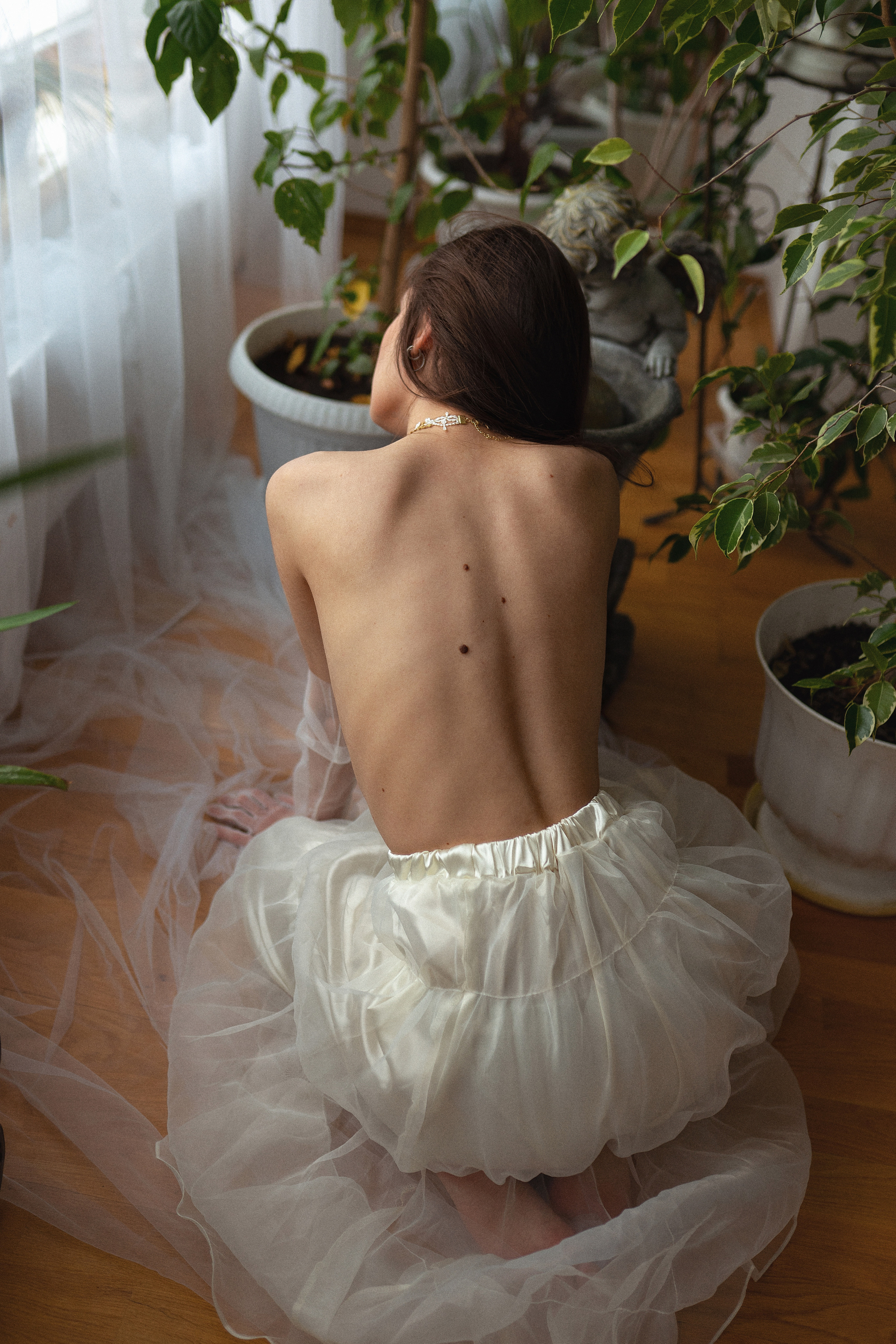 Оранжерея. Фотограф Диана Аскарова