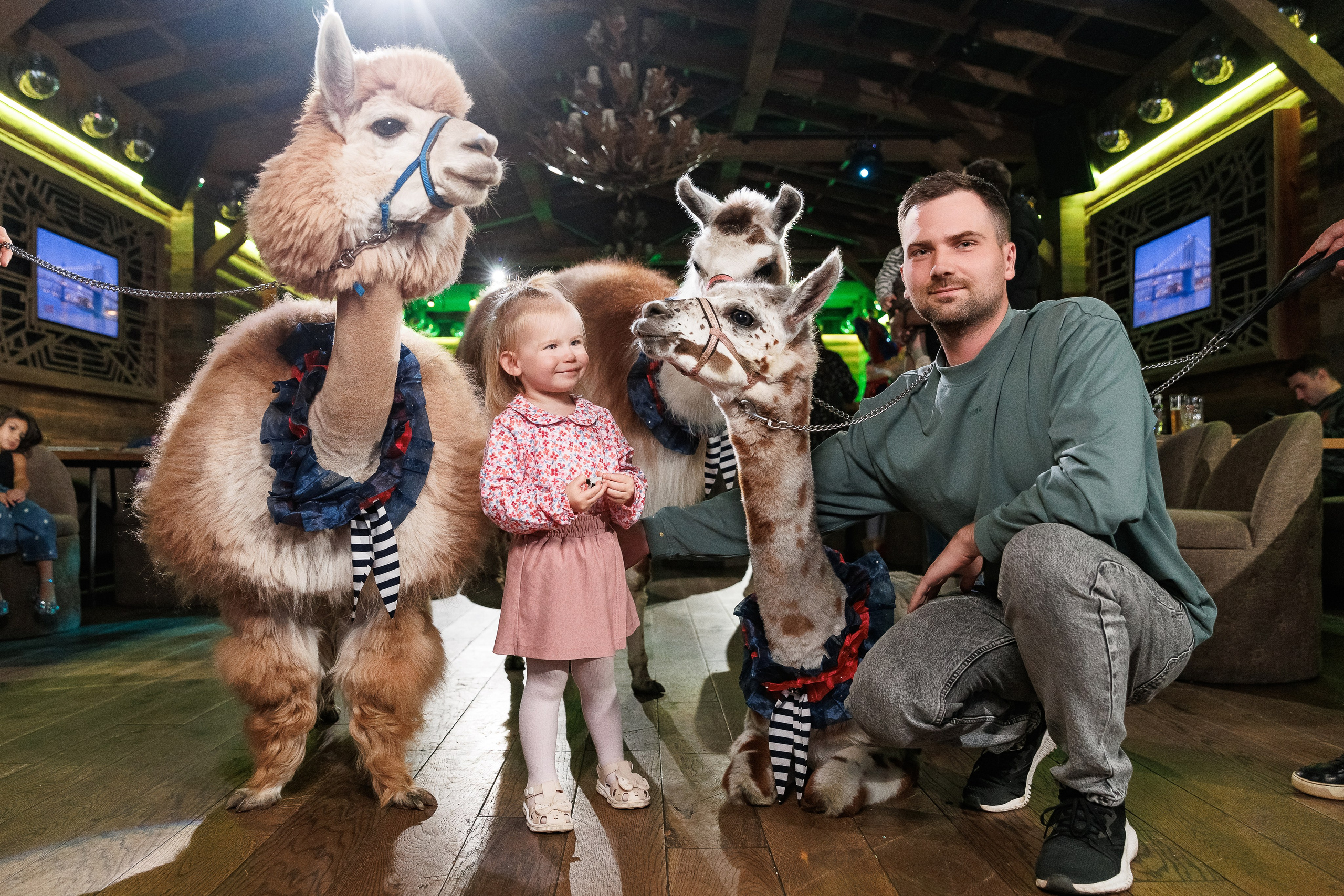 Лама и Альпака