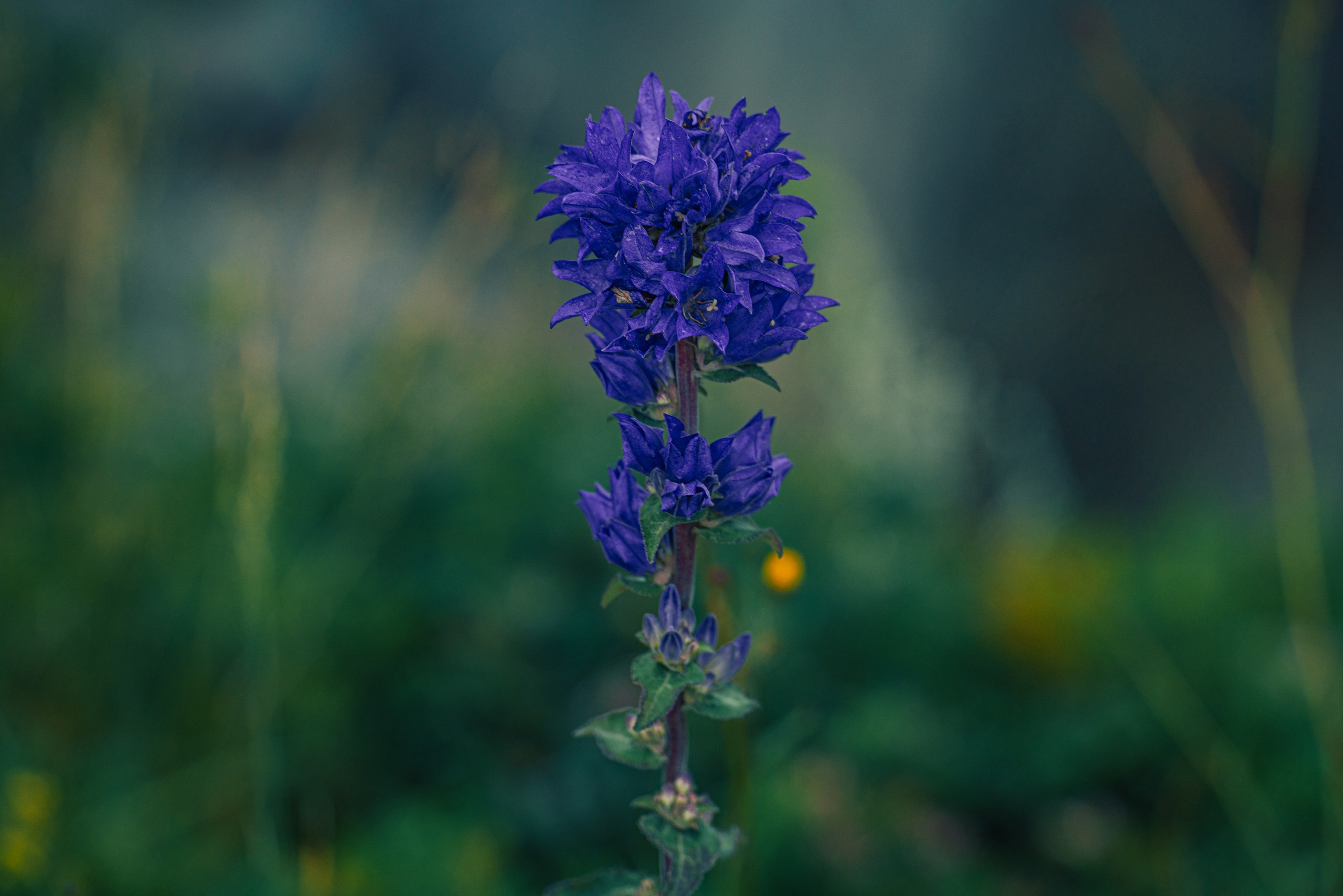 Мыс Четырех Скал. Иван Зайцев (IZIART) — создание культурного кода через фото и видео