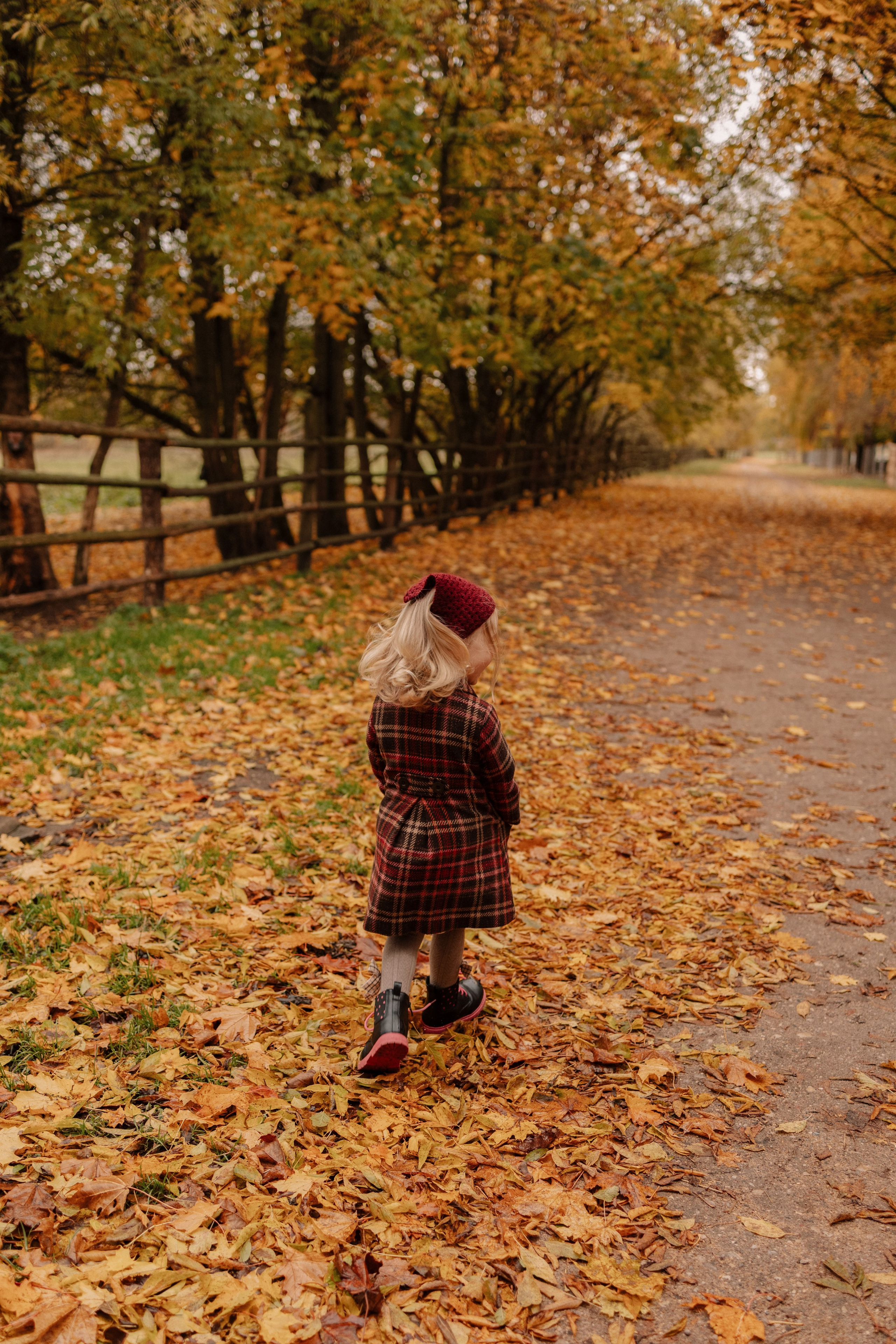 Семейная. Photographer Oseiko Nadezhda