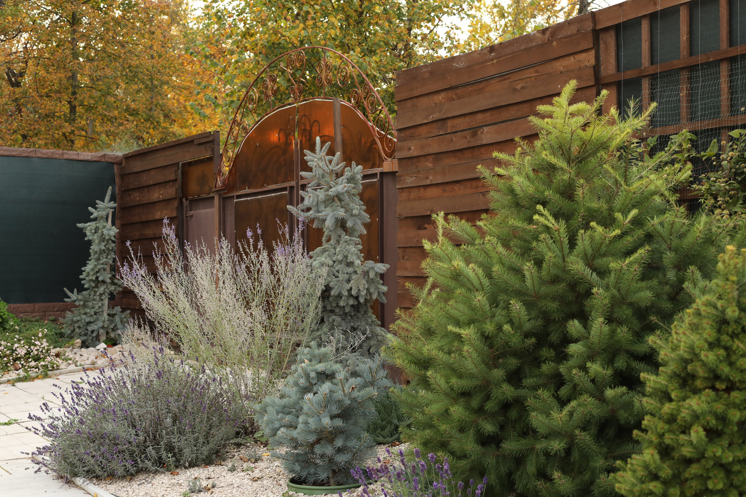 Парк-заповедник Купидон. Семейный фотограф в Димитровграде Елена Патрушева