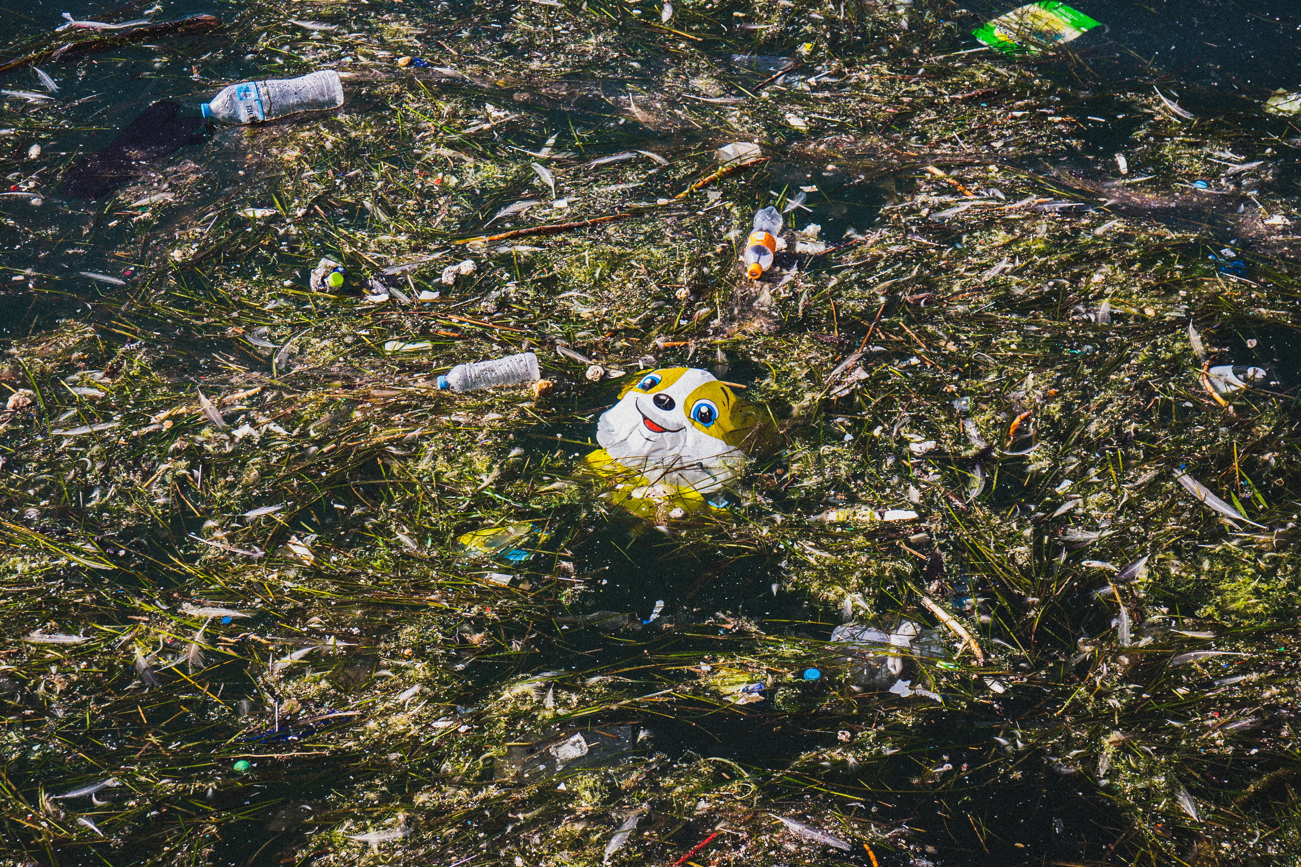 Путешествия. Коммерческий фотограф Николай Кандалов