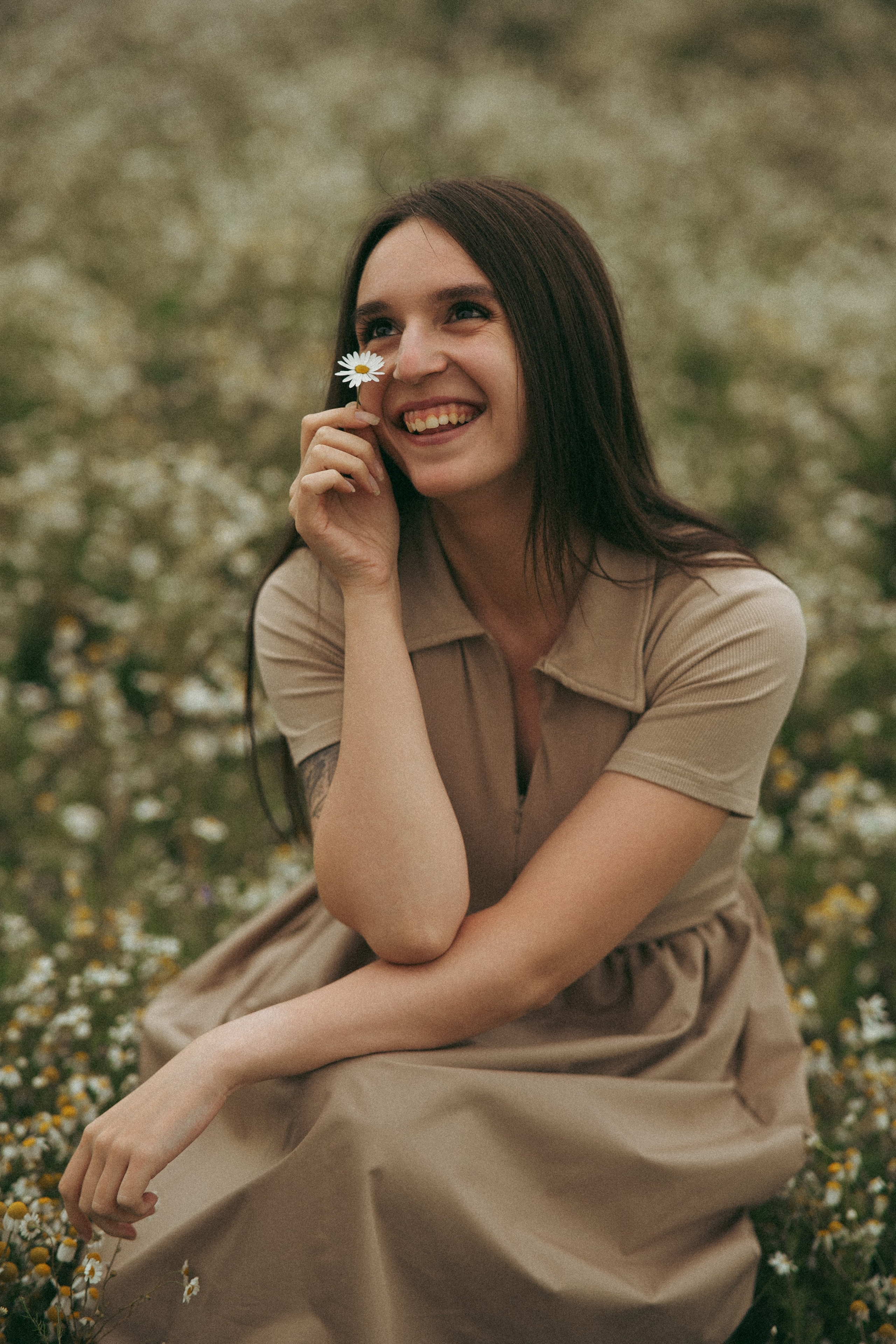 Ромашки. Фотограф Мария Зайчик