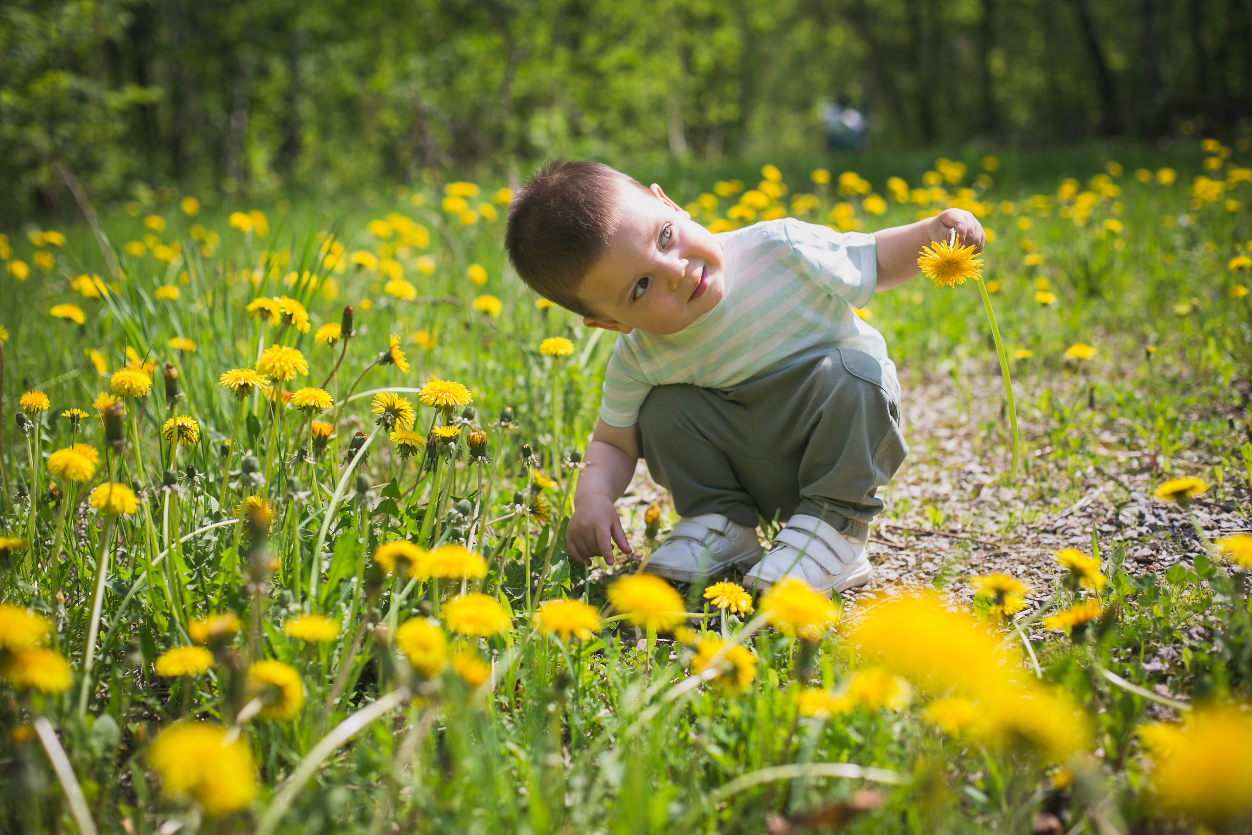 Семейные фотосессии. Профессиональный фотограф Евгений Земцов в Москве. Контент съемка, репортаж мероприятий, бизнес портреты