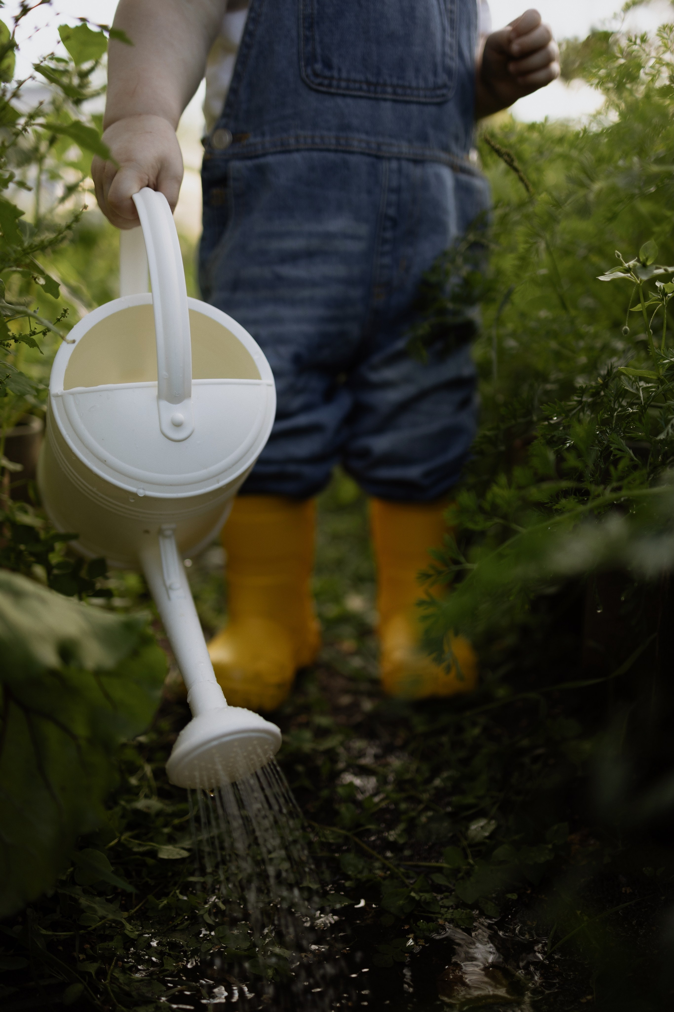 Алина и Димка. Семейный фотограф Надежда Каримова | Иркутск Байкал Аршан