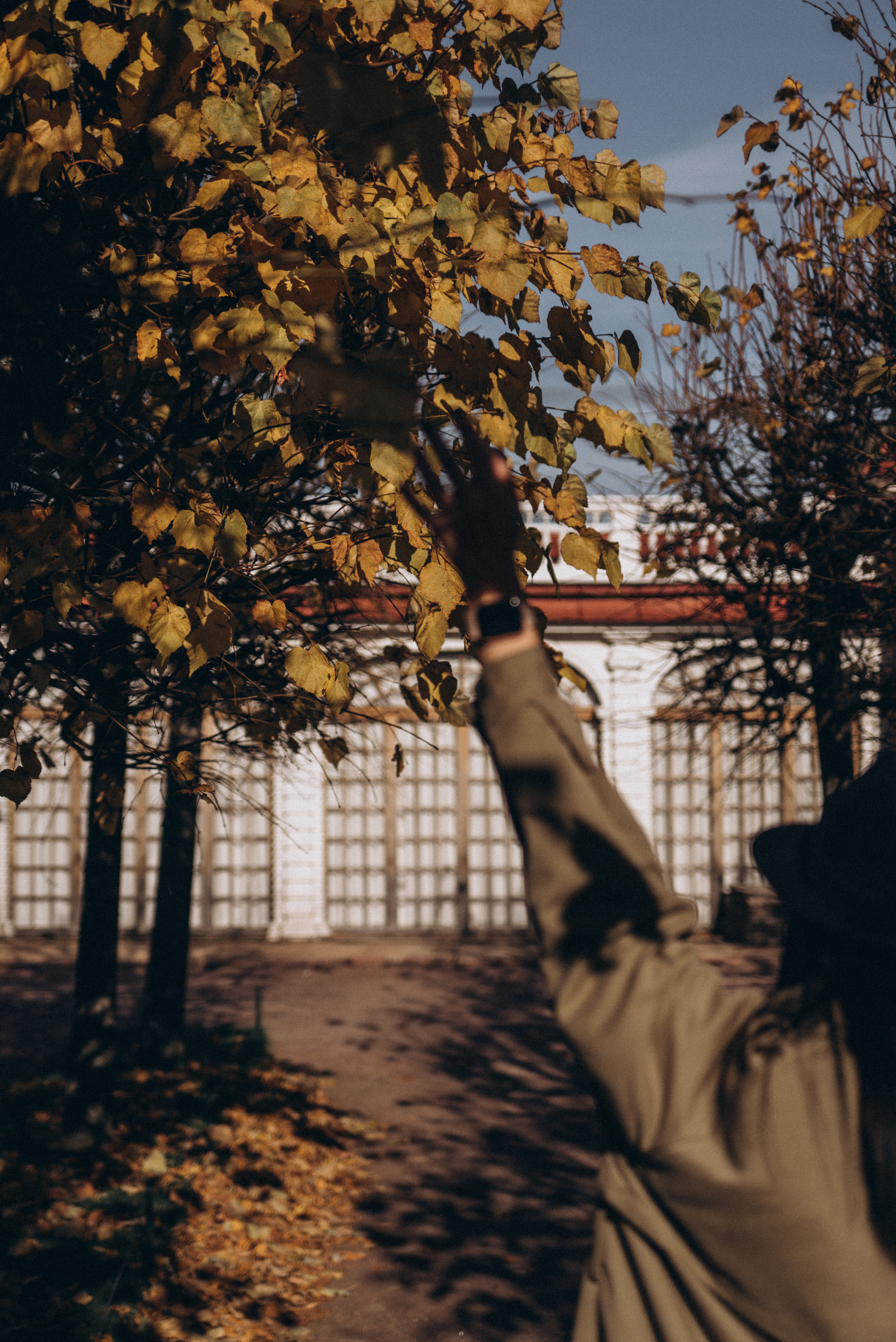 *. Фотограф Данил Бушуев