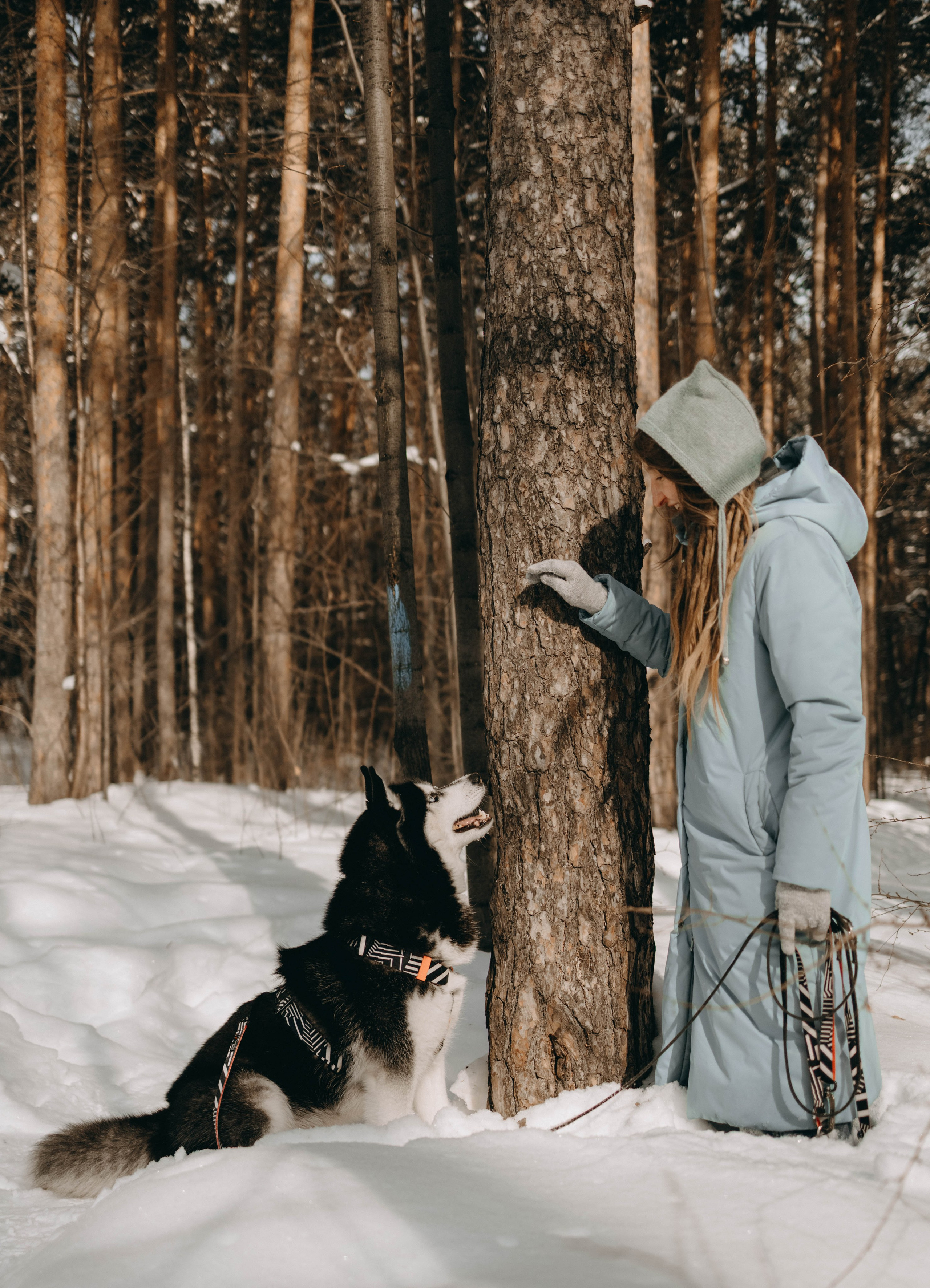 Анна и Вегас. Фотограф-анималист в Екатеринбурге | Кристина