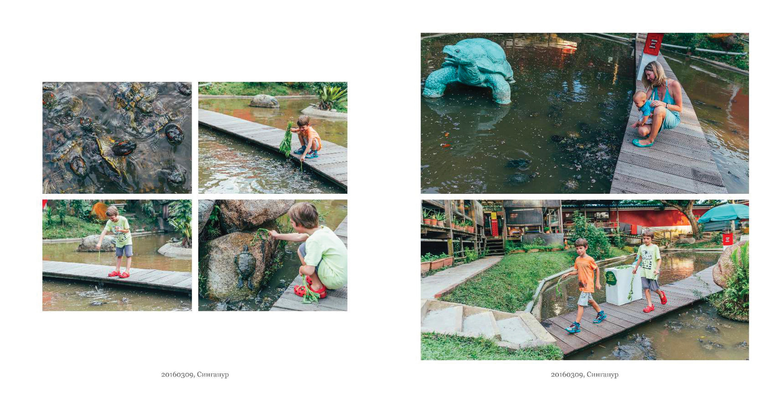 BEST FAMILY BOOK 2017