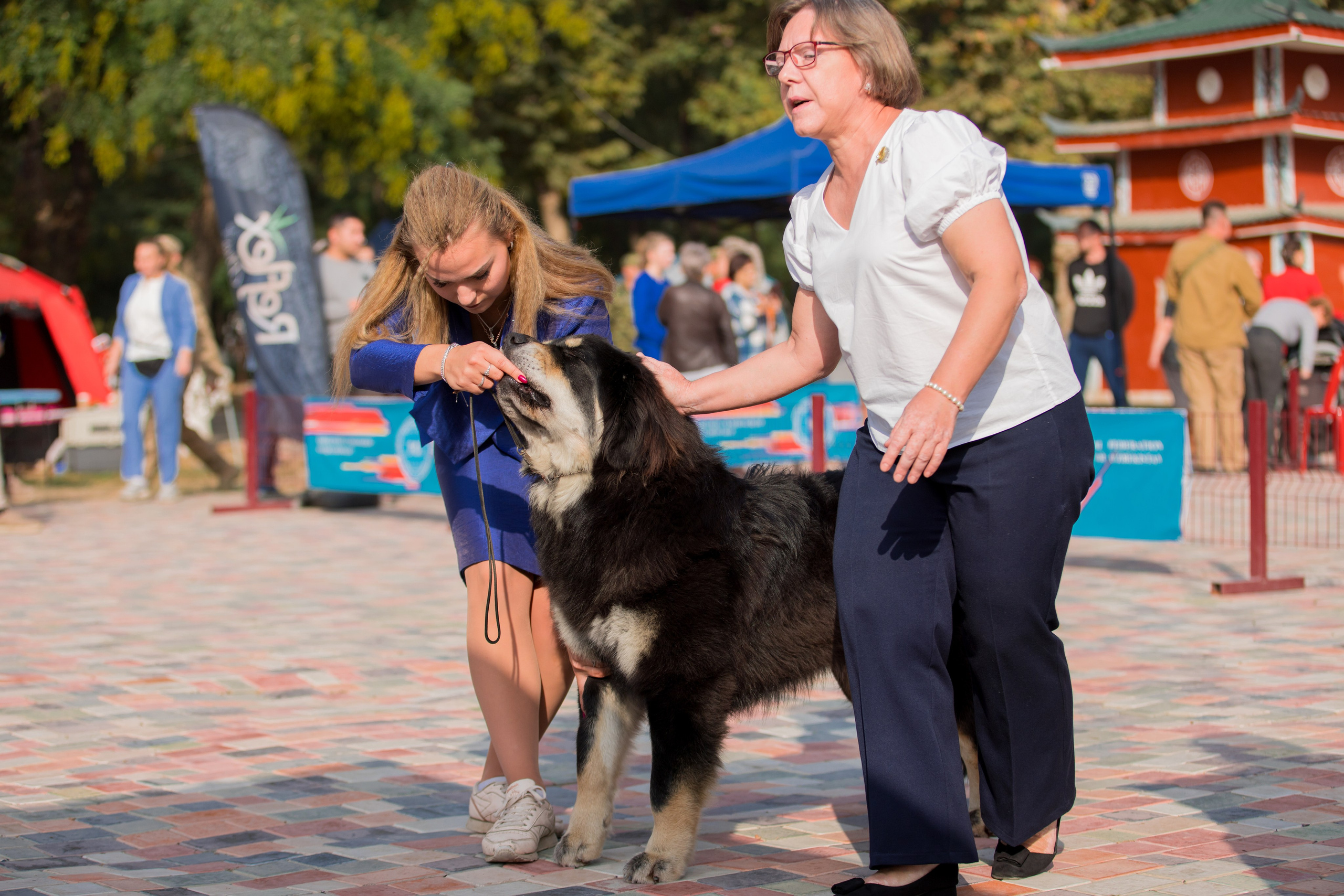 Ташкент 6-8.10.2023 + Алматы 14-15.10.2023. Фотограф-анималист Юлия Германика