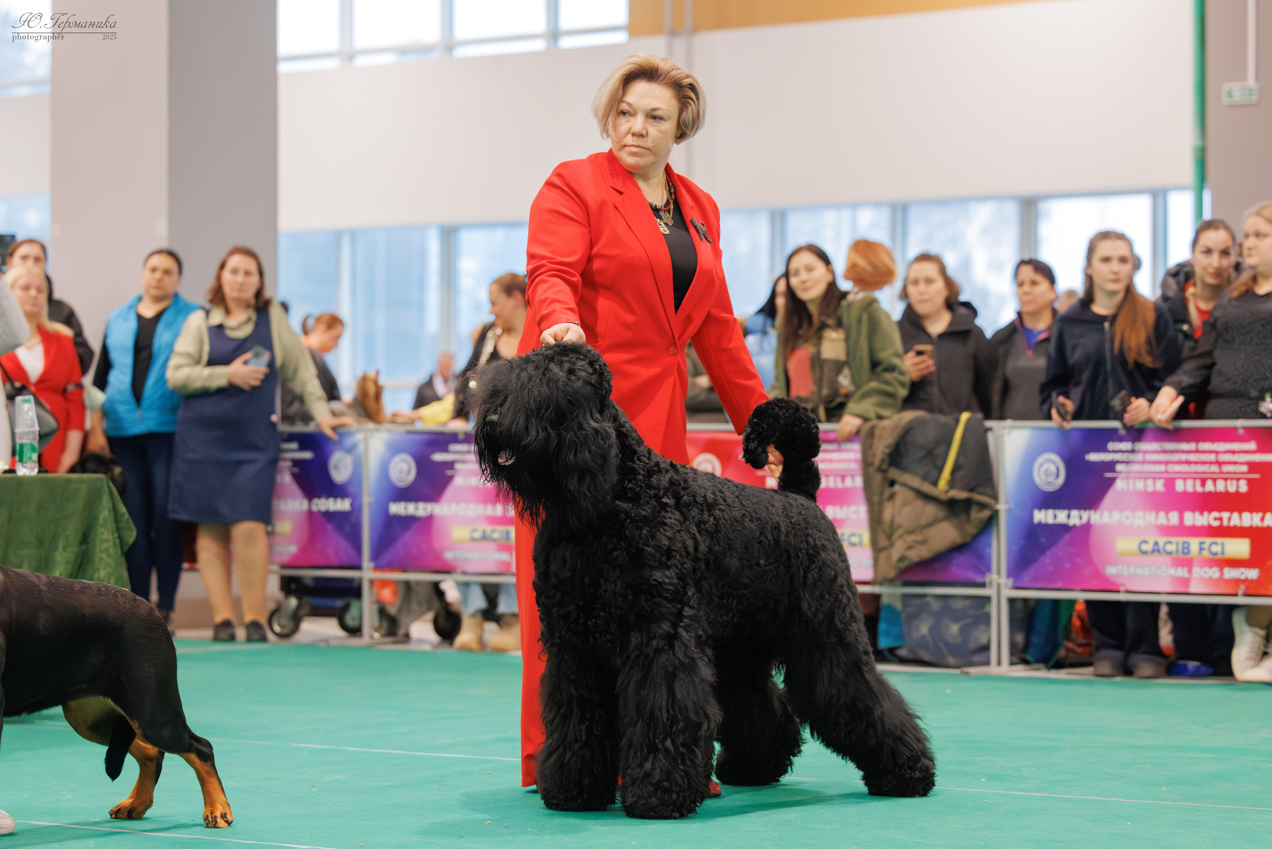 Минск 1-2.03.2025. Фотограф-анималист Юлия Германика