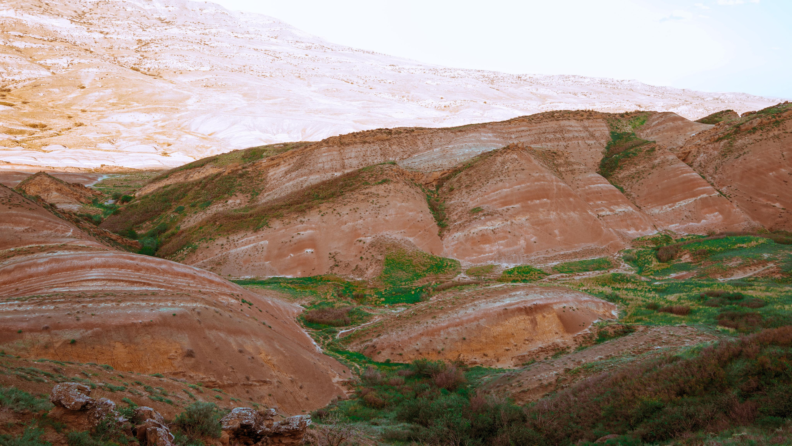 МАРТА | GAREJI. Photographer Barcelona