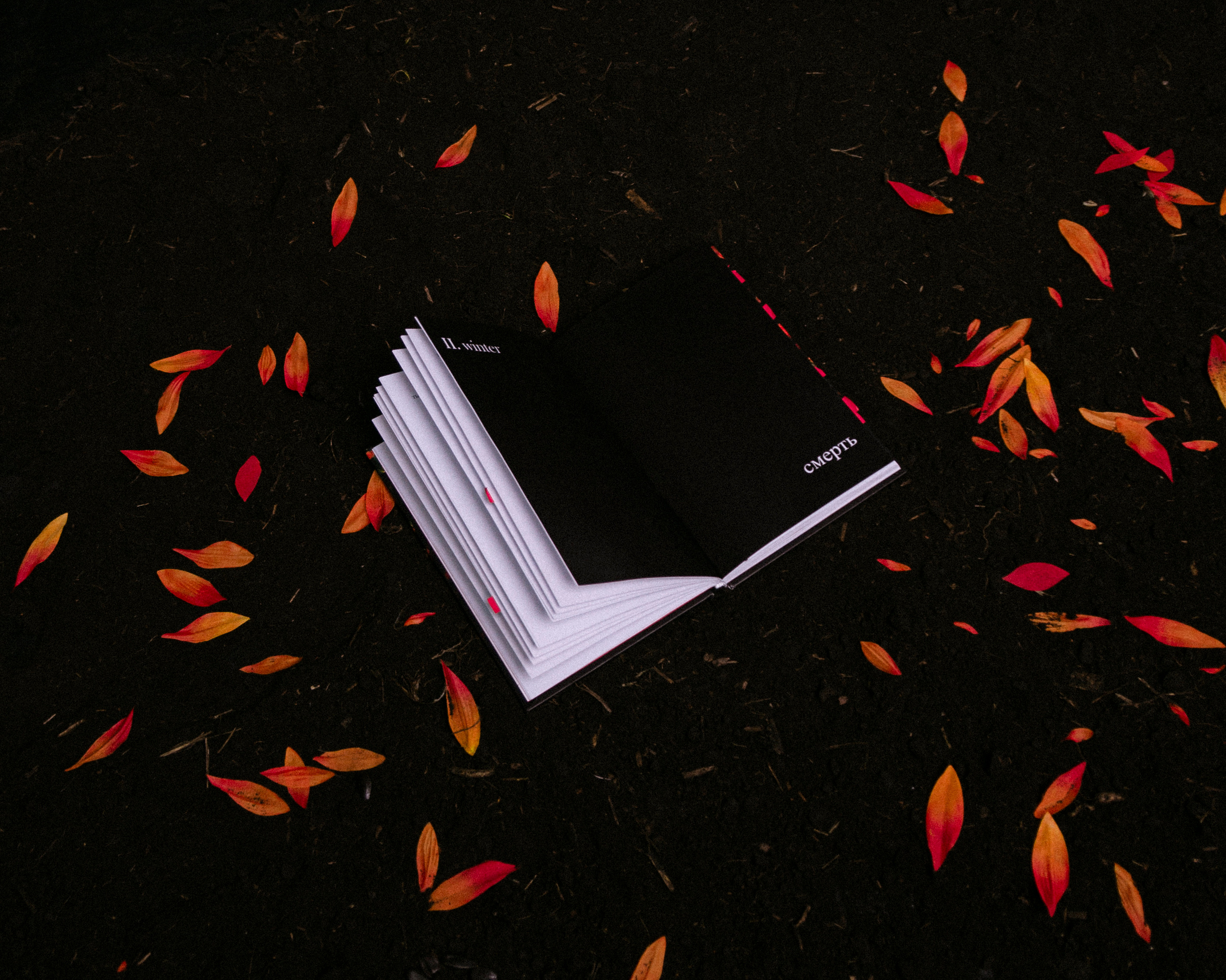 HOMELESS & LOVELESS | EVA STUDIO. Photographer Barcelona