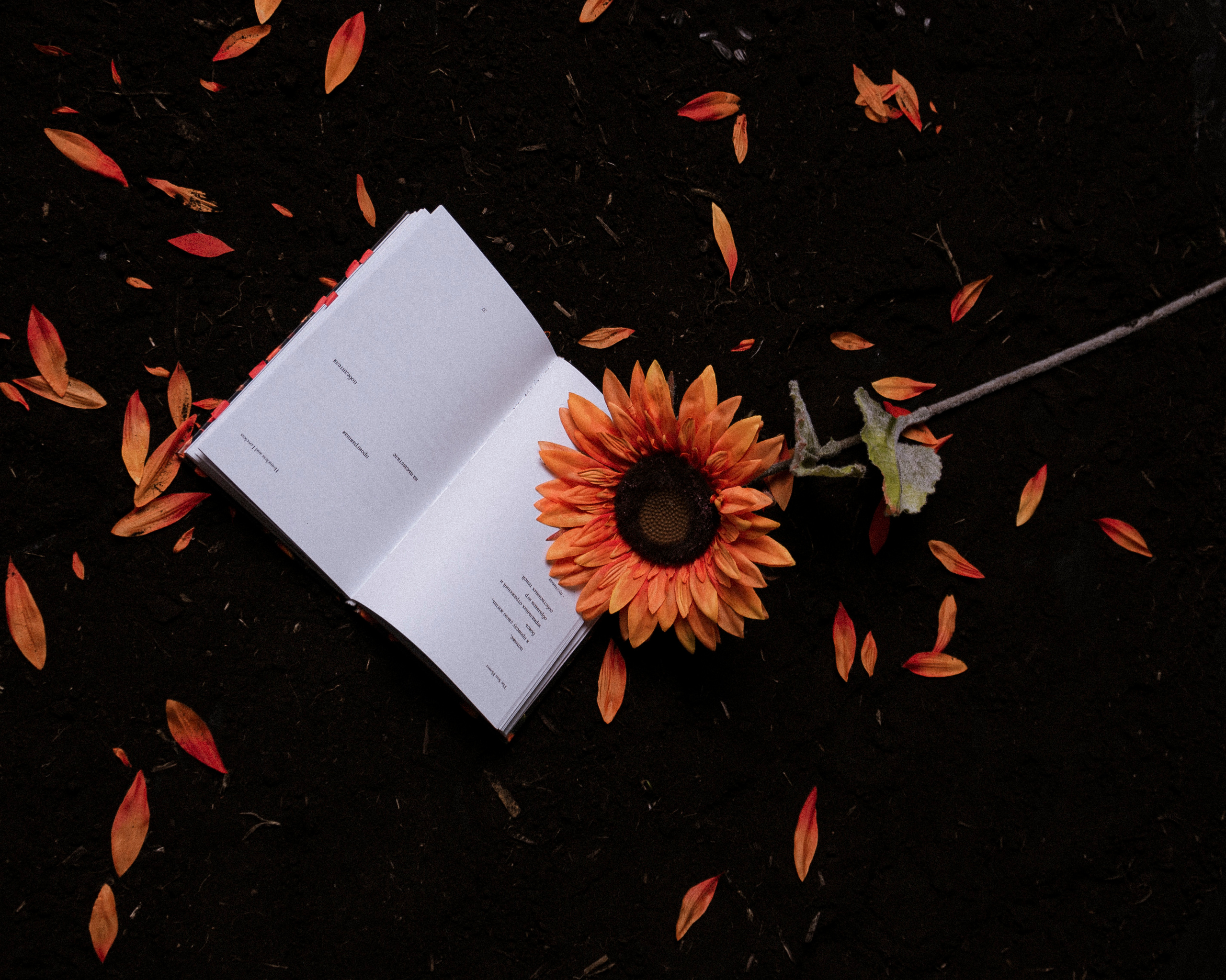 HOMELESS & LOVELESS | EVA STUDIO. Photographer Barcelona