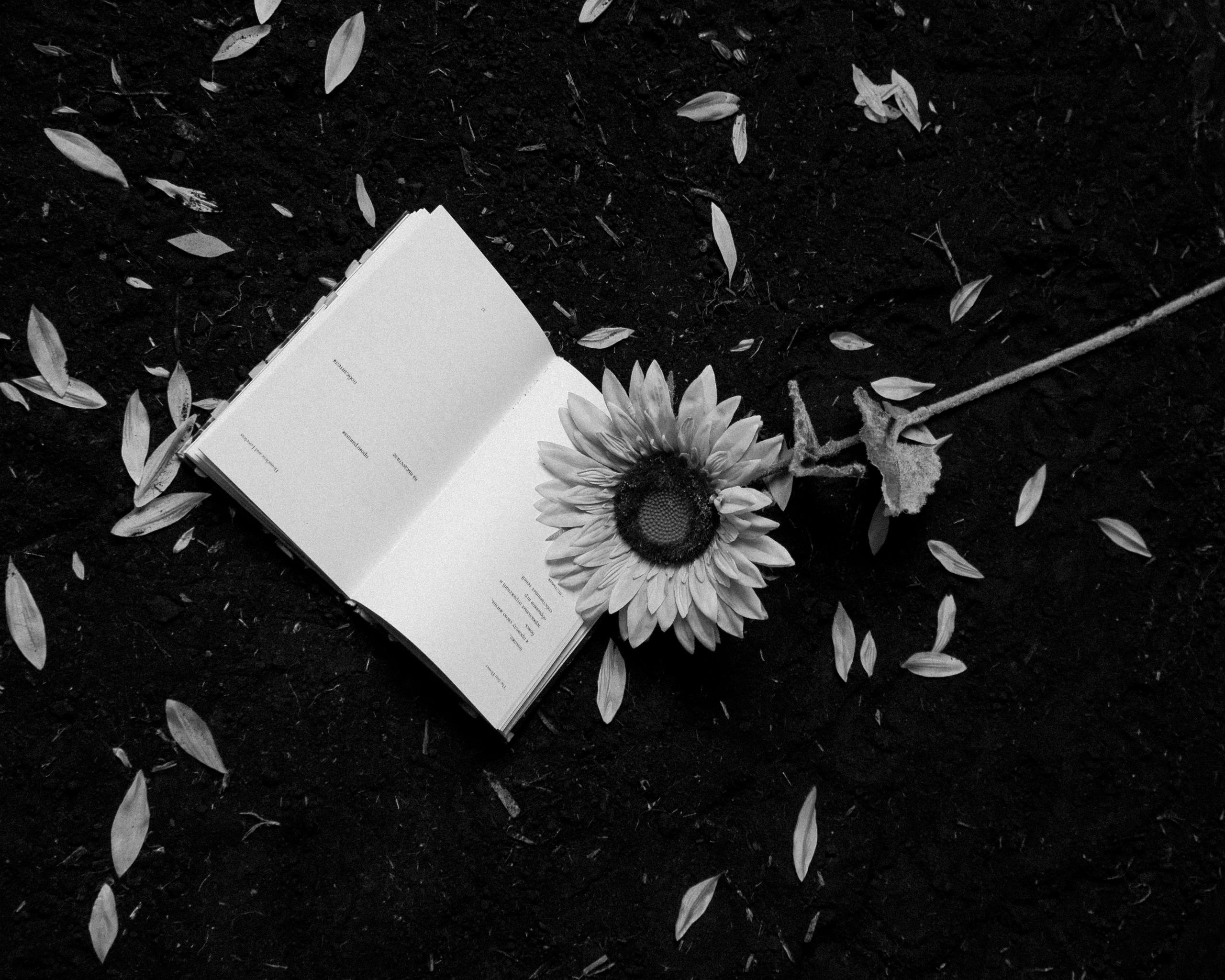 HOMELESS & LOVELESS | EVA STUDIO. Photographer Barcelona