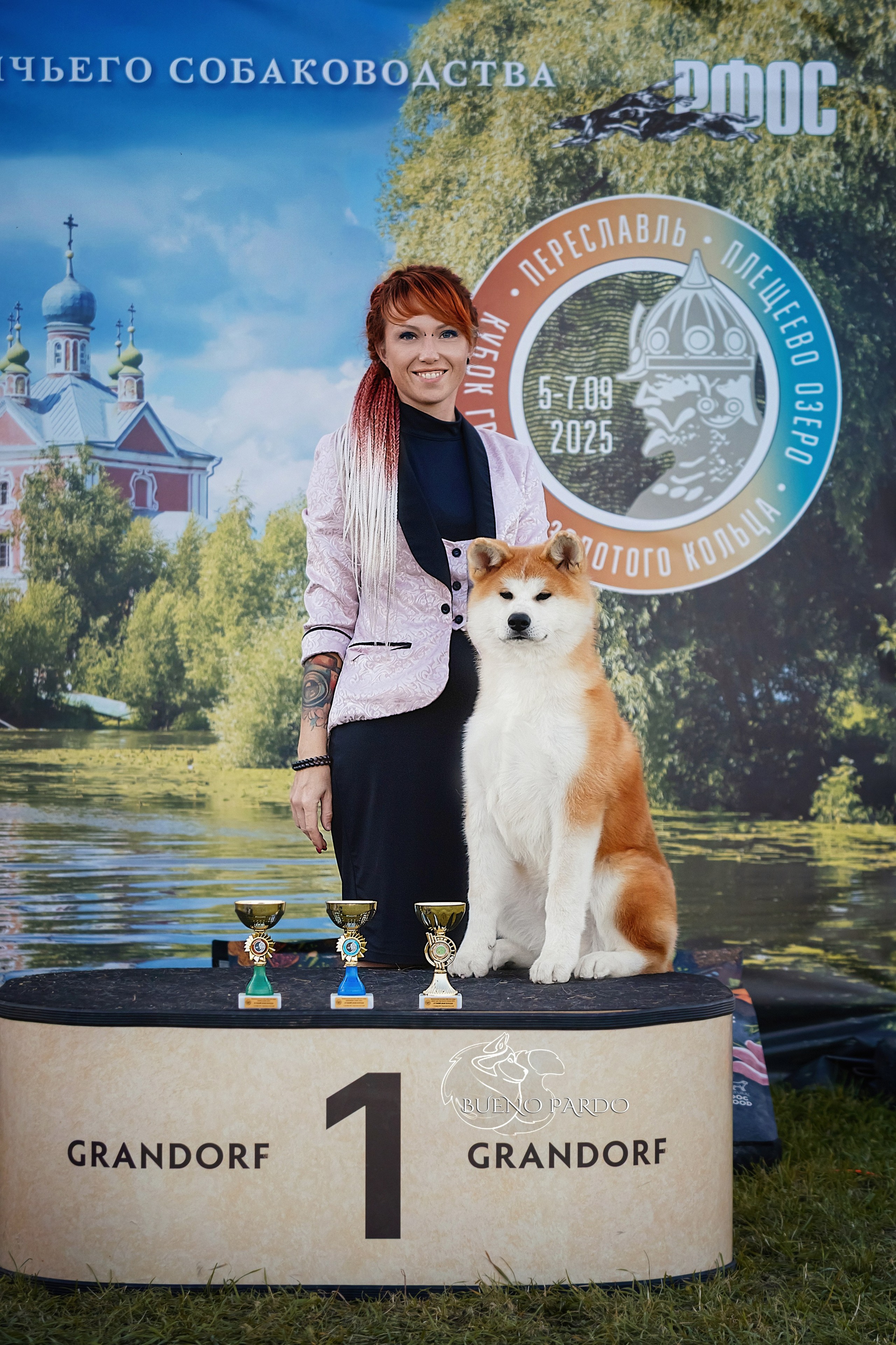 АКИТА. Kawaii Kuma питомник собак пород Корги пемброк, Акита ину, Сиба