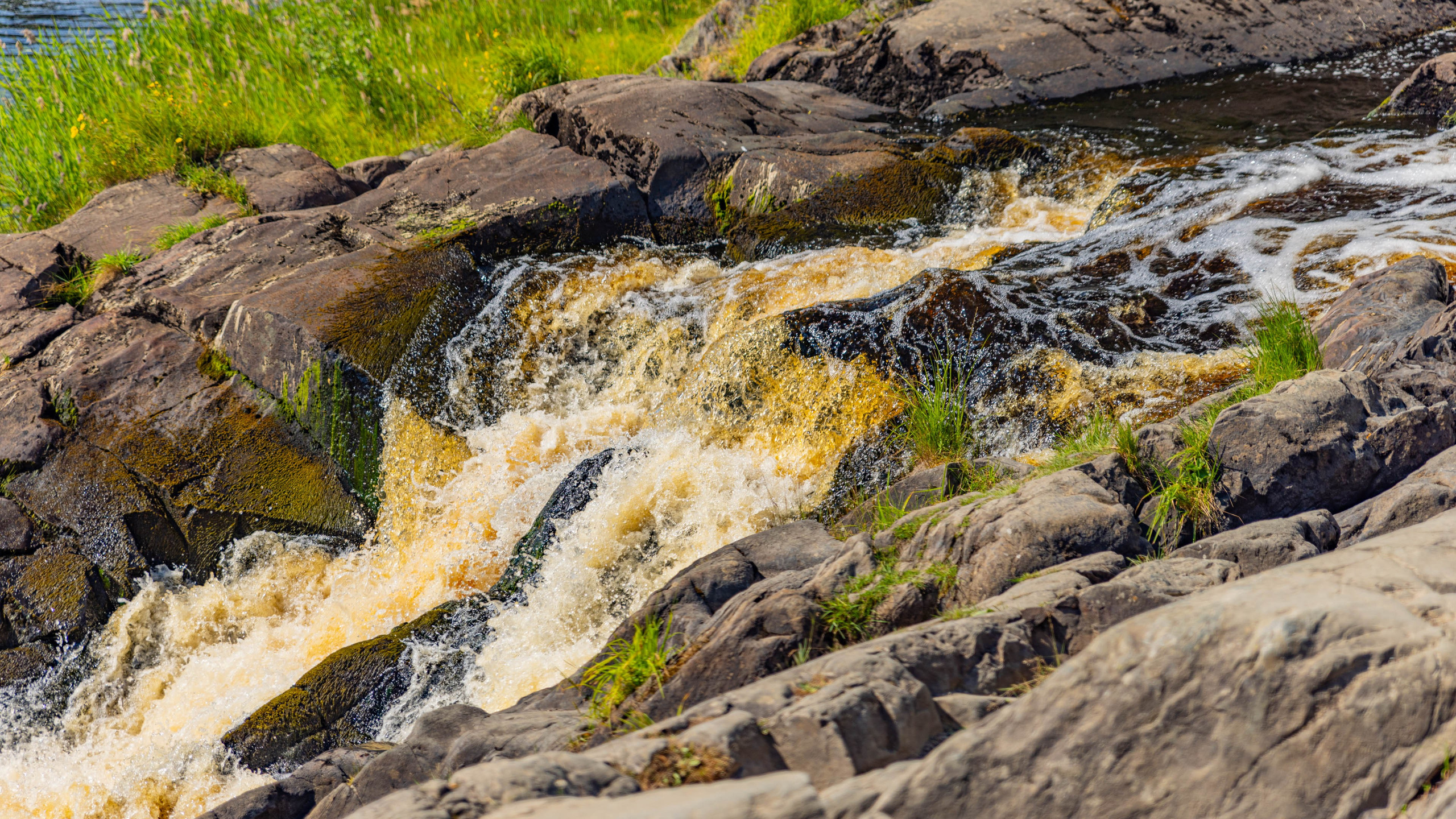 2025 07 Выборг — Сортавала — Великий Новгород — Псков. Фотографии
