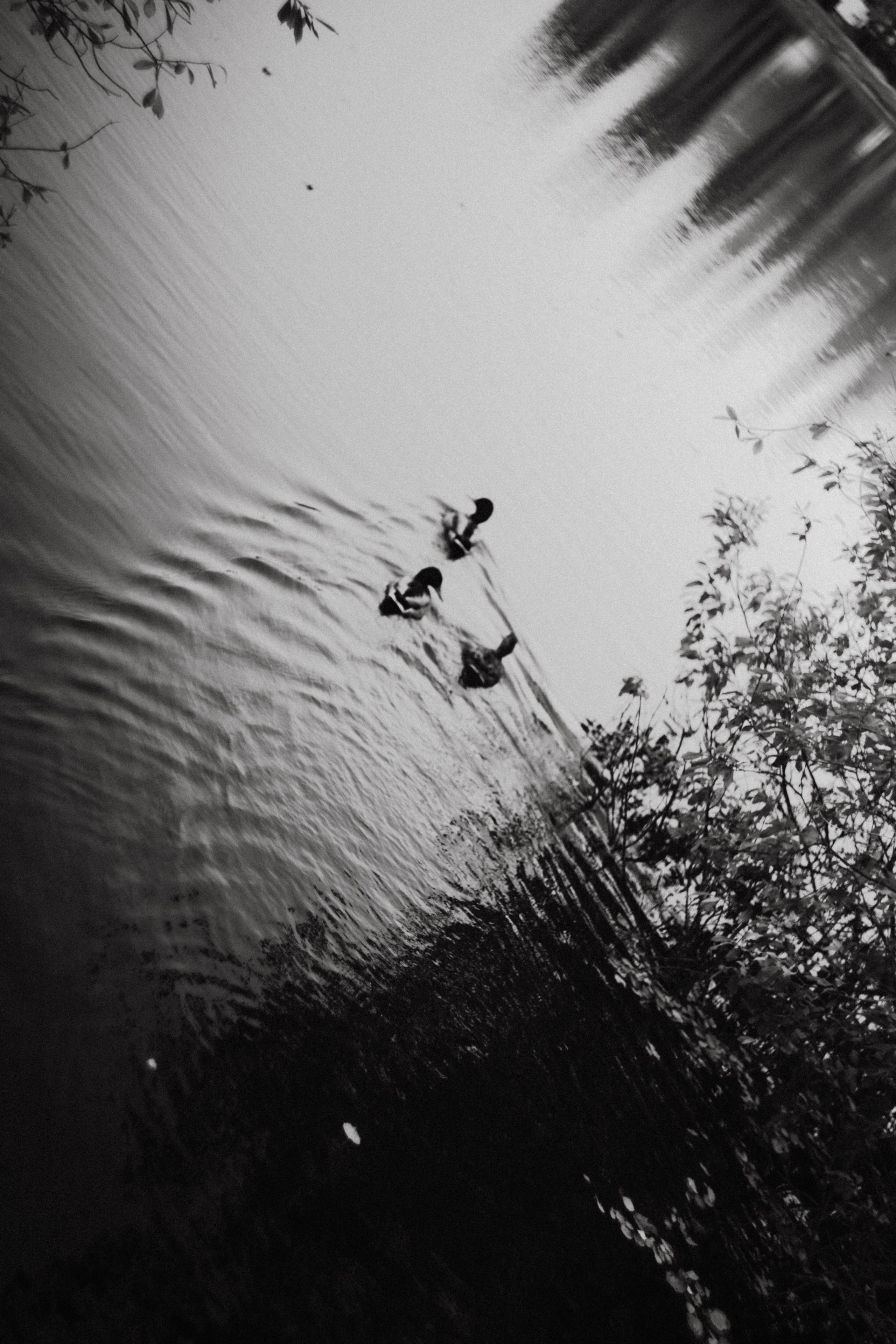 Земснаряд осенний. Фотограф в Нижнем Новгороде