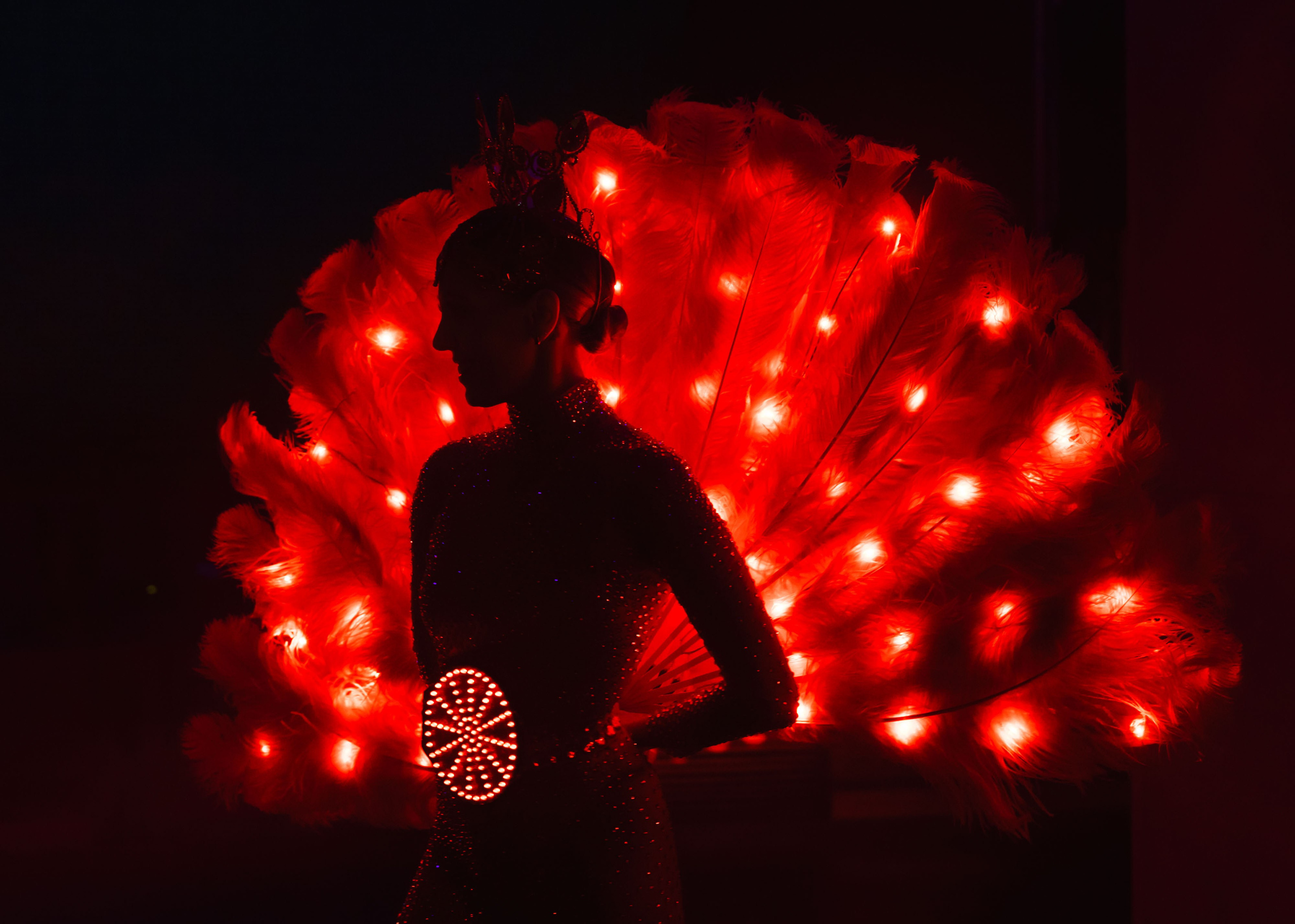 Предновогодка кипарис 2025. ФОТОГРАФ ВИНОГРАДОВА ДАРЬЯ