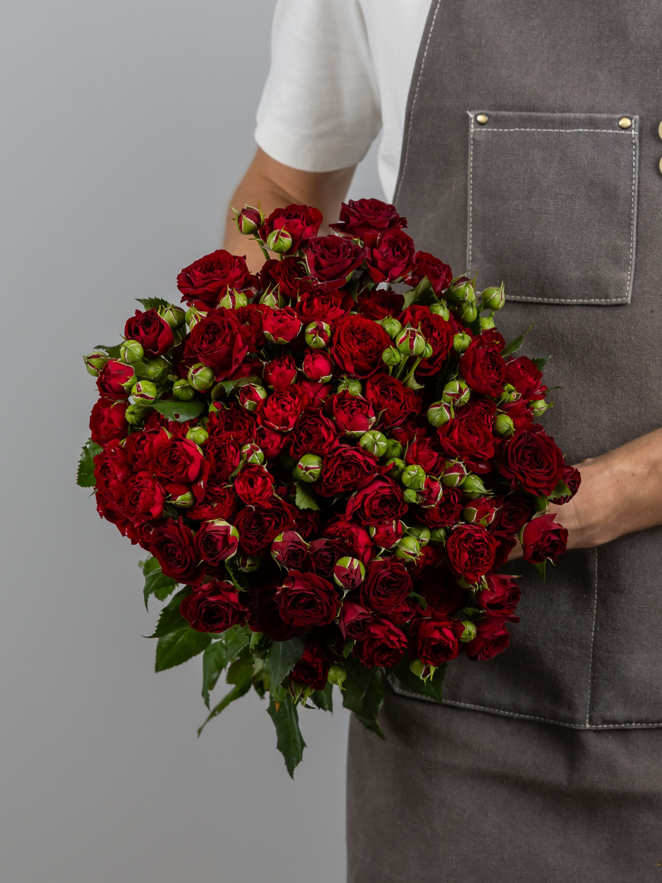 04.08.2025 Фотосессия сортов Цветополис. ФОТОГРАФ ВИНОГРАДОВА ДАРЬЯ