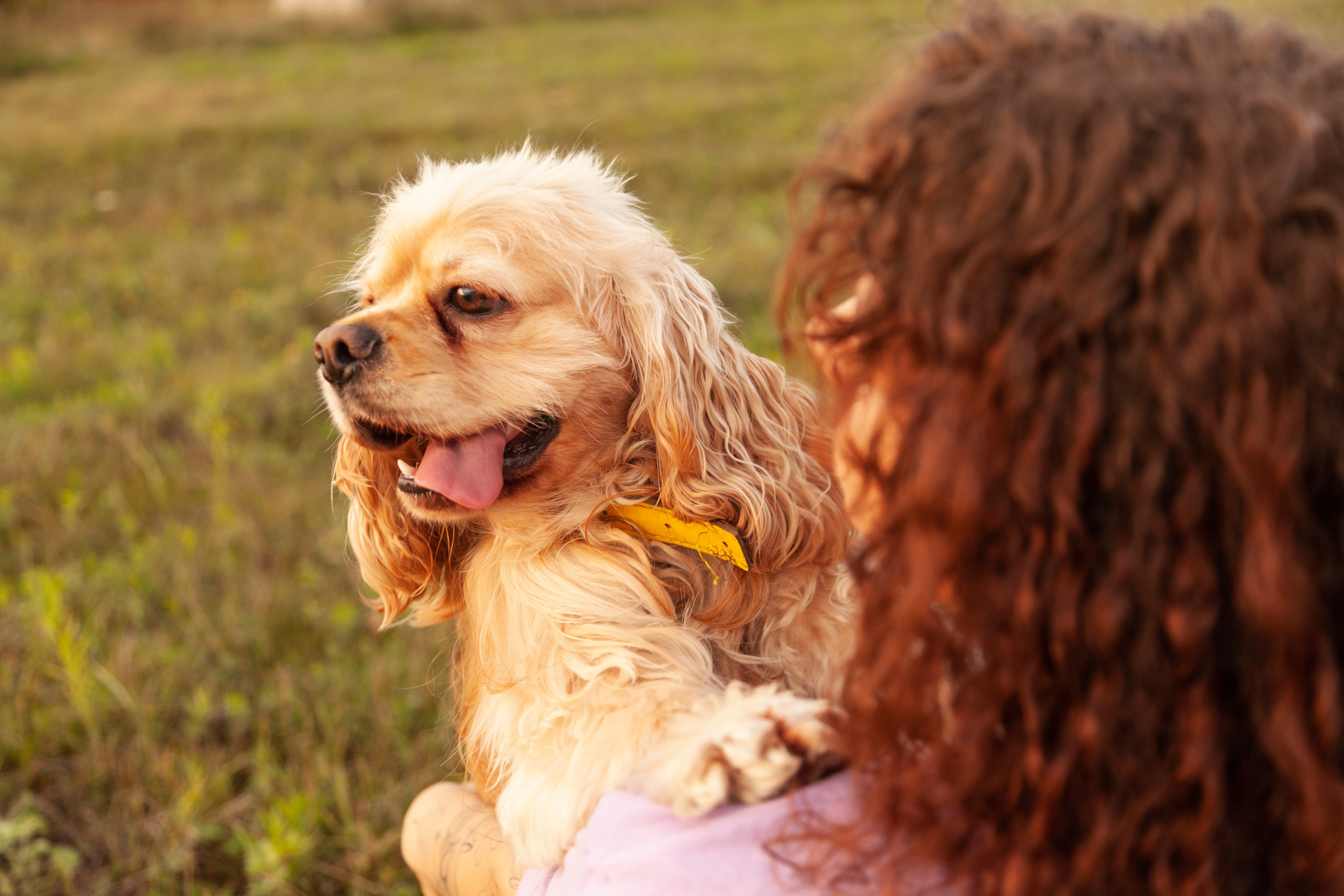 Девочки. PROphoto