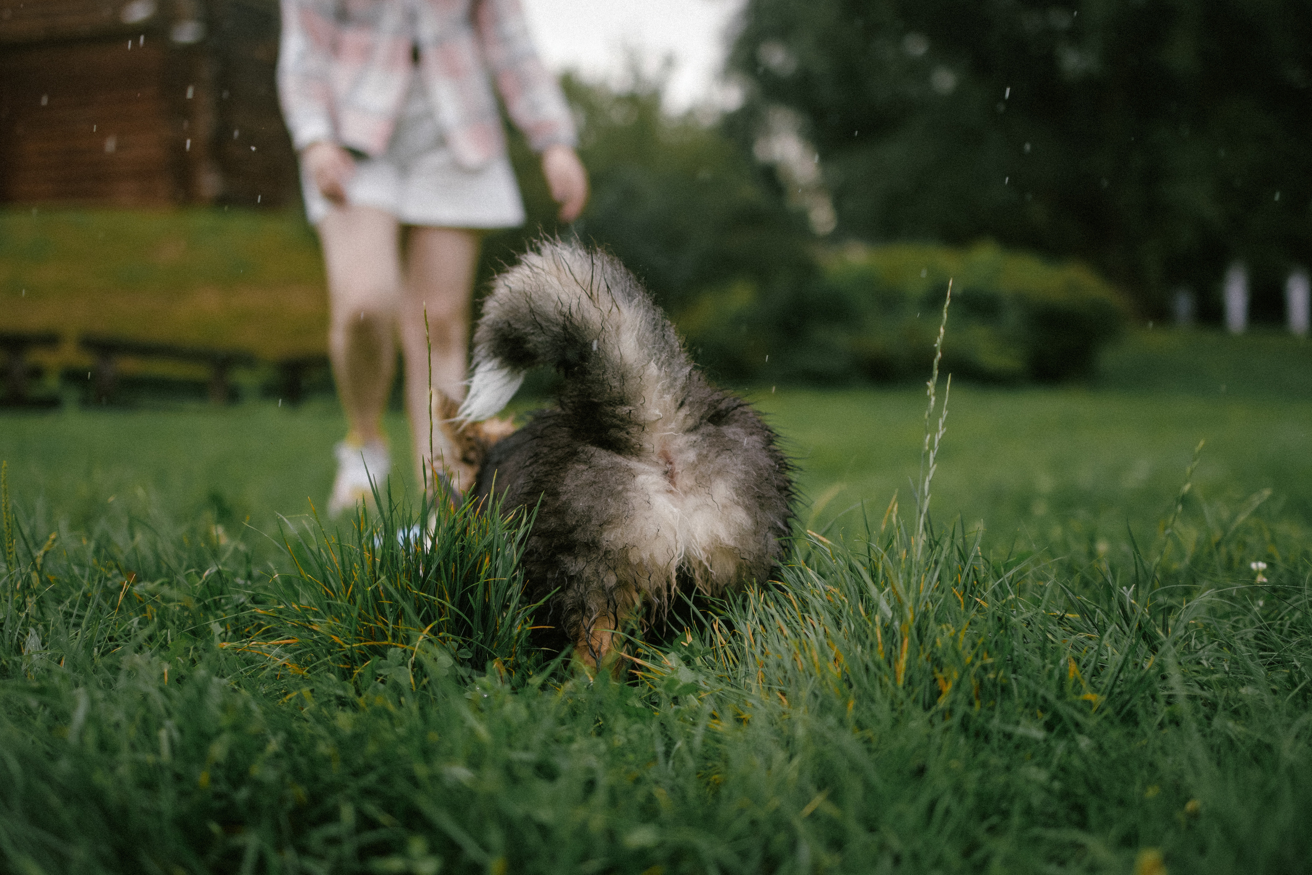 Влада и Мишель. Фотораф — анималист Мария Шистка