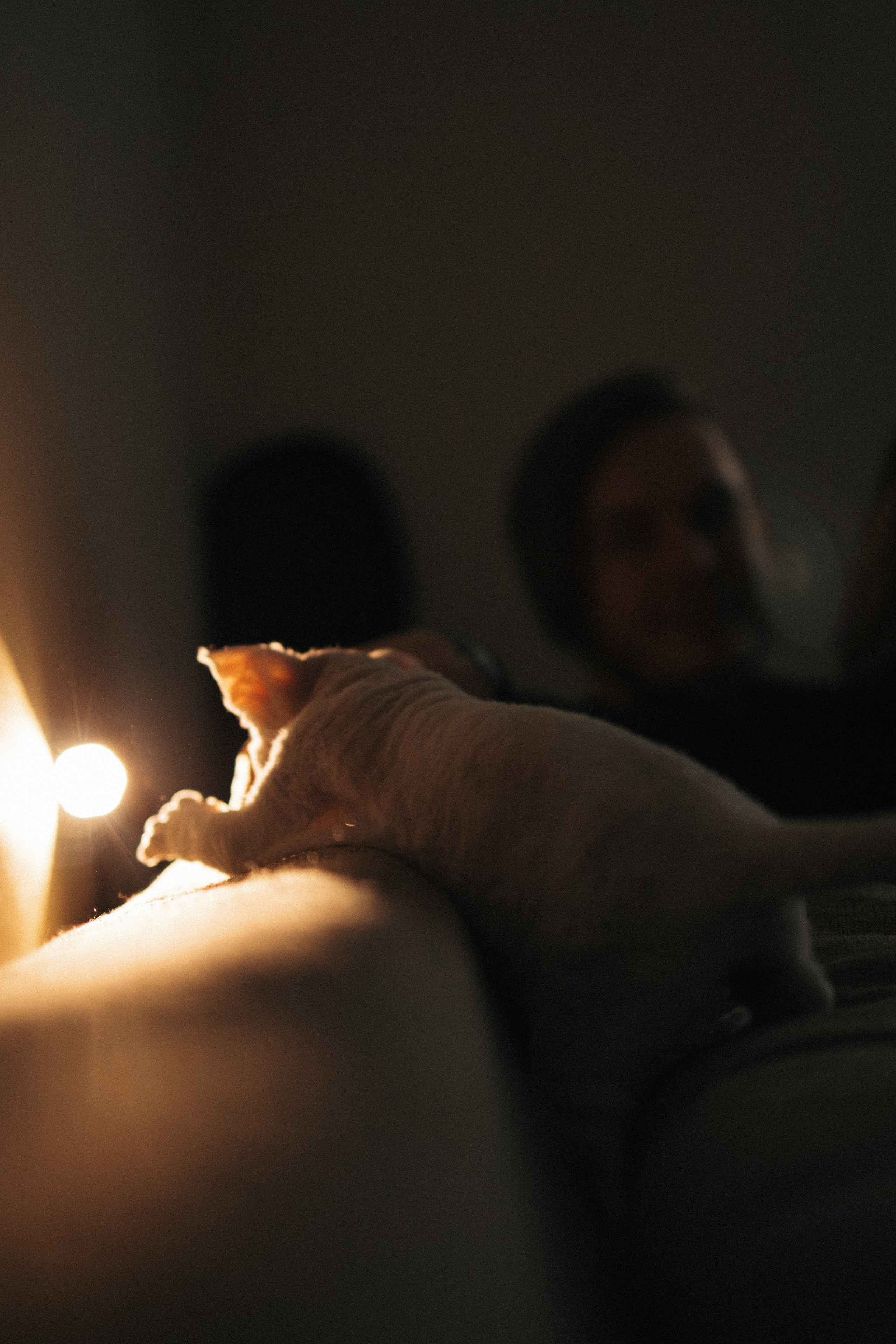 Этери, Саша и Эвия. Фотораф — анималист Мария Шистка