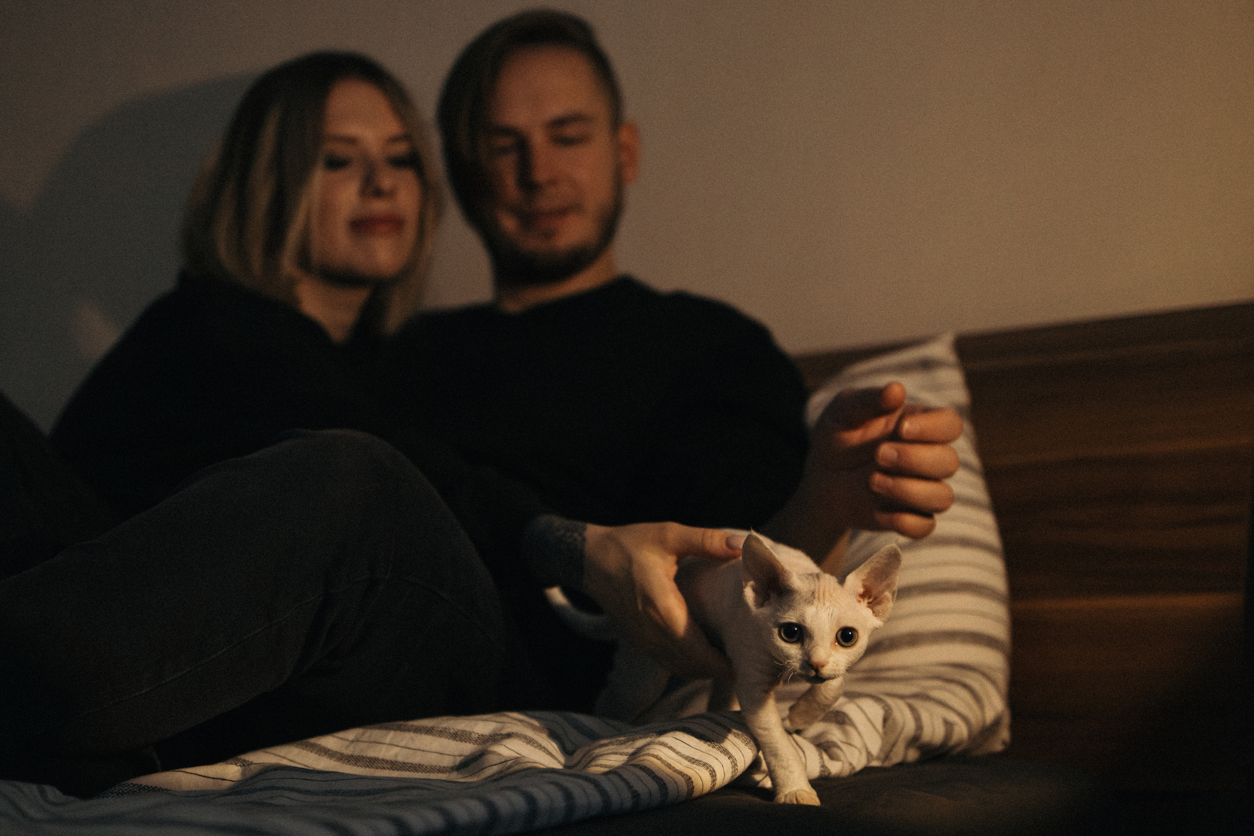 Этери, Саша и Эвия. Фотораф — анималист Мария Шистка