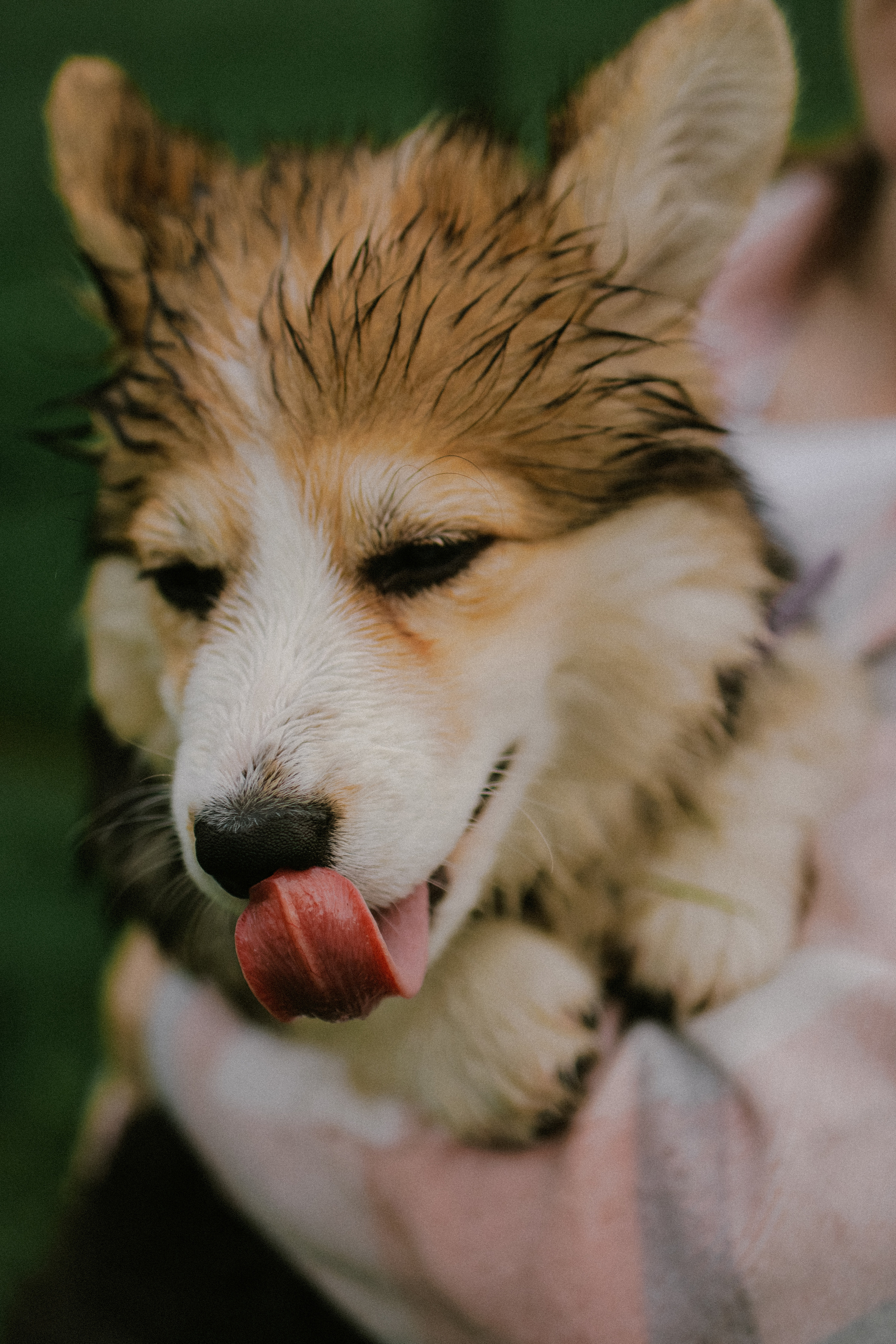 Влада и Мишель. Фотораф — анималист Мария Шистка