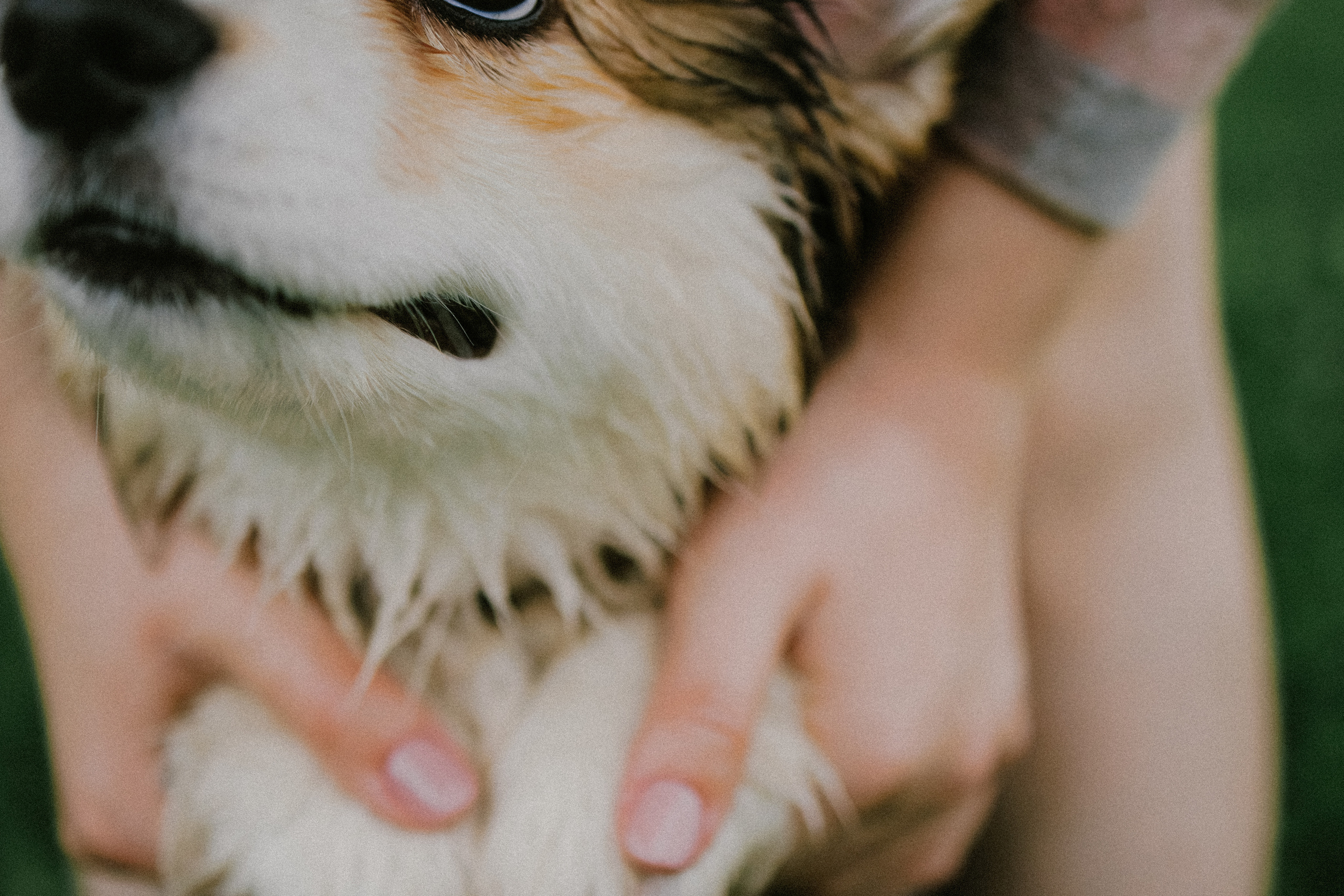 Влада и Мишель. Фотораф — анималист Мария Шистка