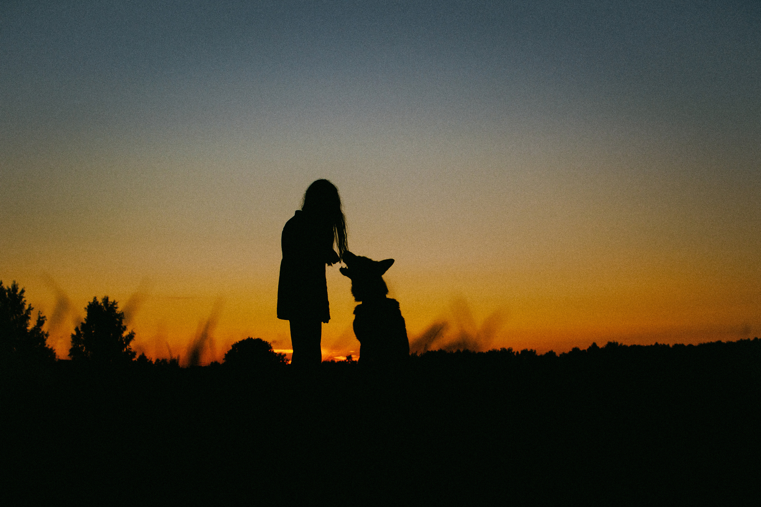 Девочки и рассвет. Фотораф — анималист Мария Шистка