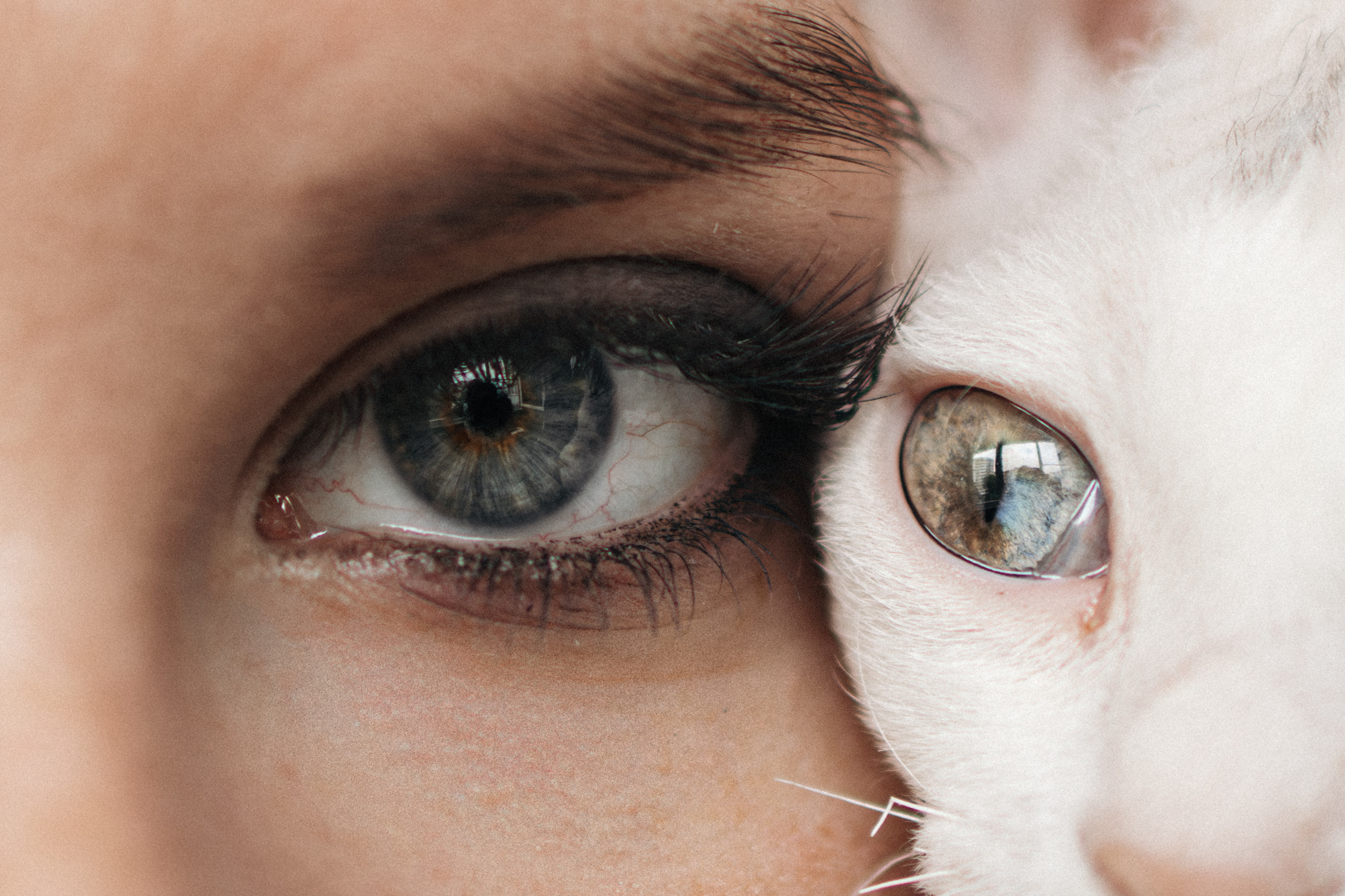 Этери, Саша и Эвия. Фотораф — анималист Мария Шистка