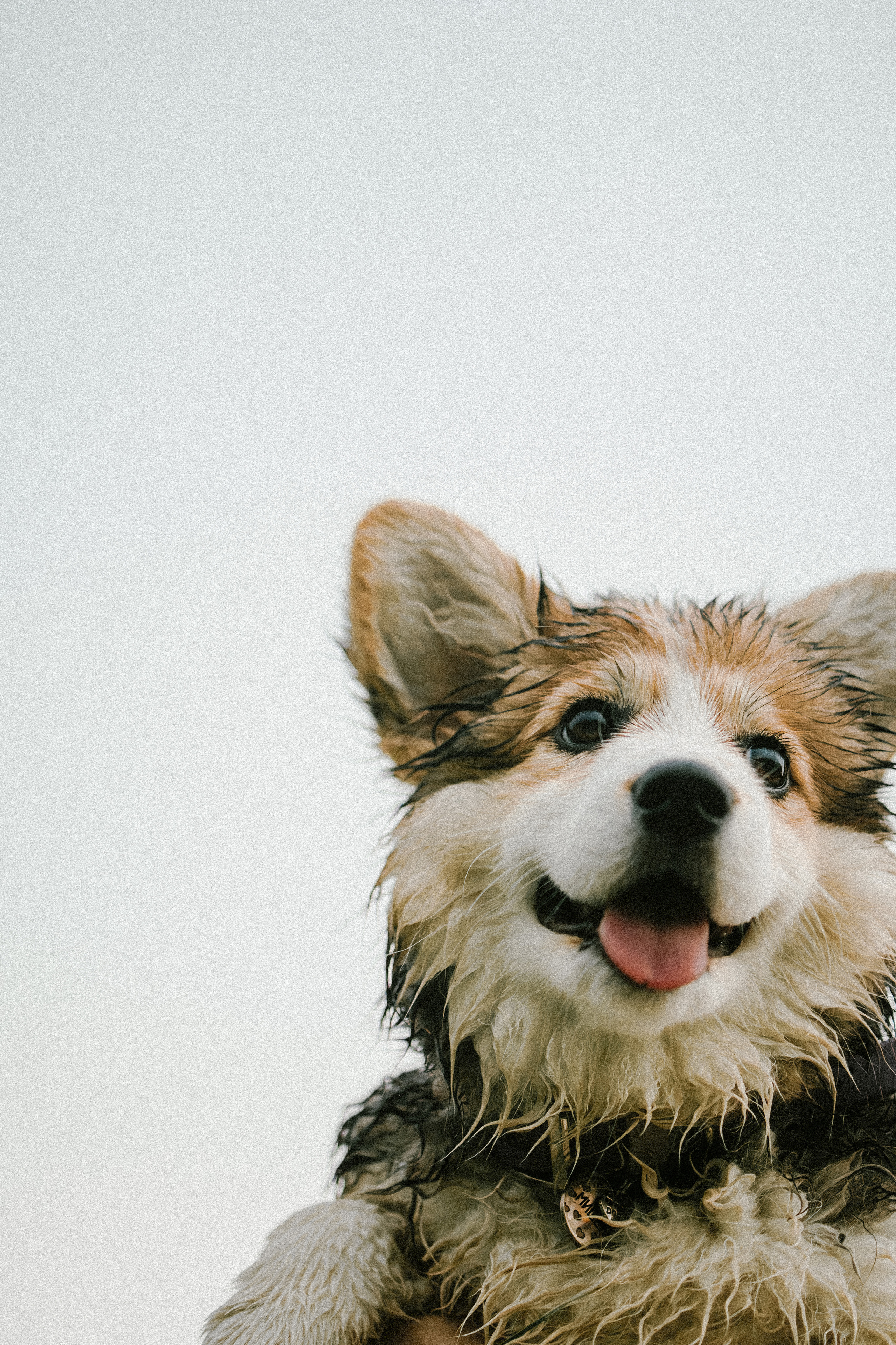 Влада и Мишель. Фотораф — анималист Мария Шистка