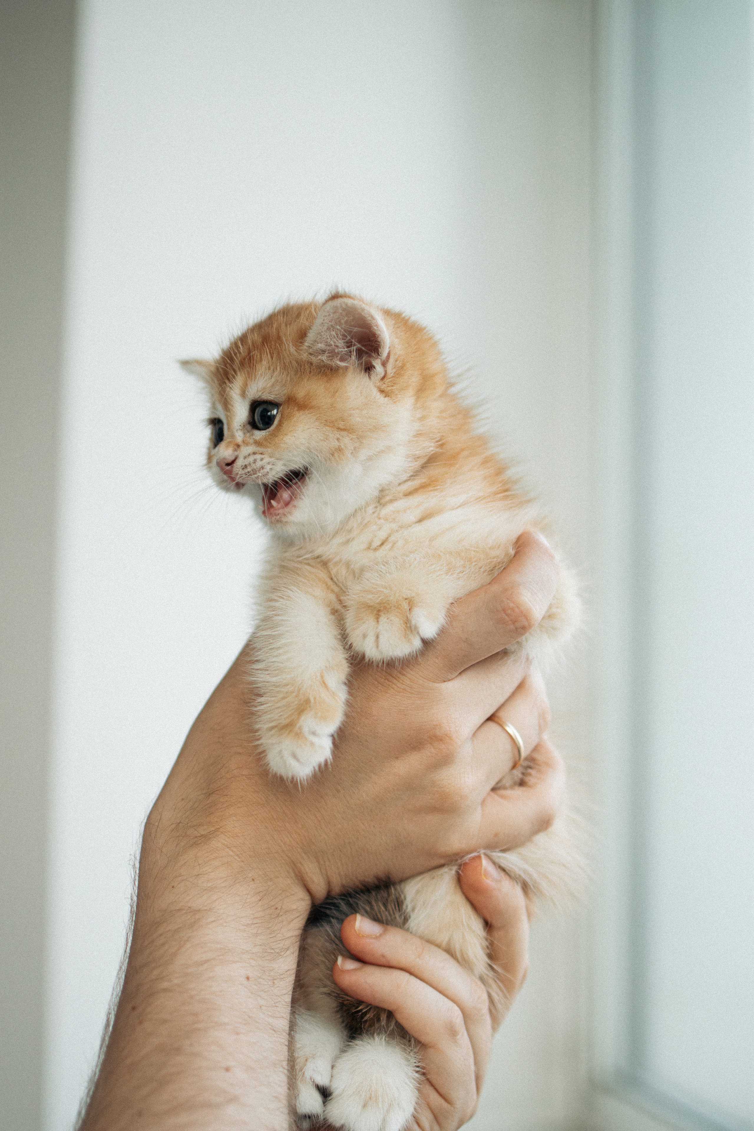 Илья, Люба и котики. Фотораф — анималист Мария Шистка