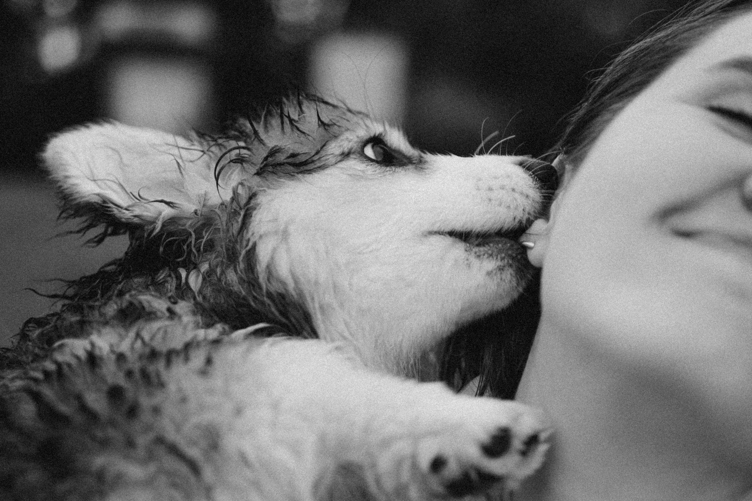 Влада и Мишель. Фотораф — анималист Мария Шистка